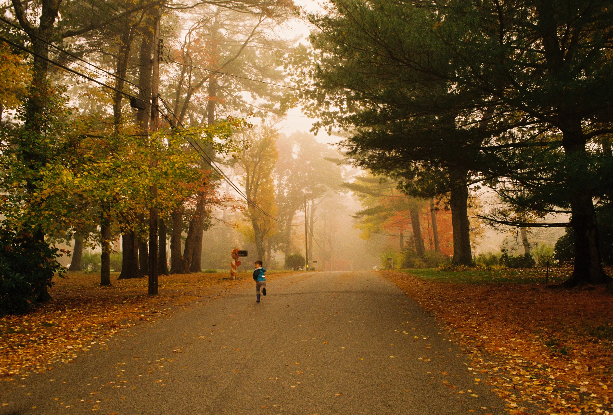A child running down a quiet, tree-lined road in autumn with fallen leaves on the ground and a misty atmosphere.