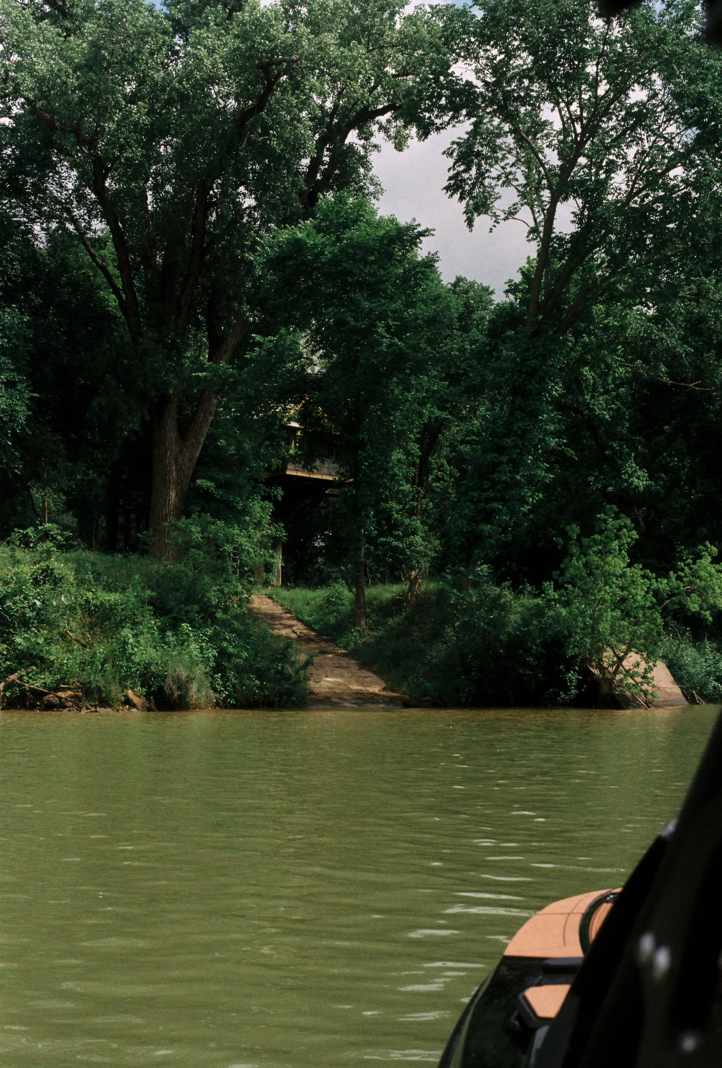 A view of a tree-lined shoreline with a dirt path leading to a house elevated among the trees, seen from a boat on a body of water.