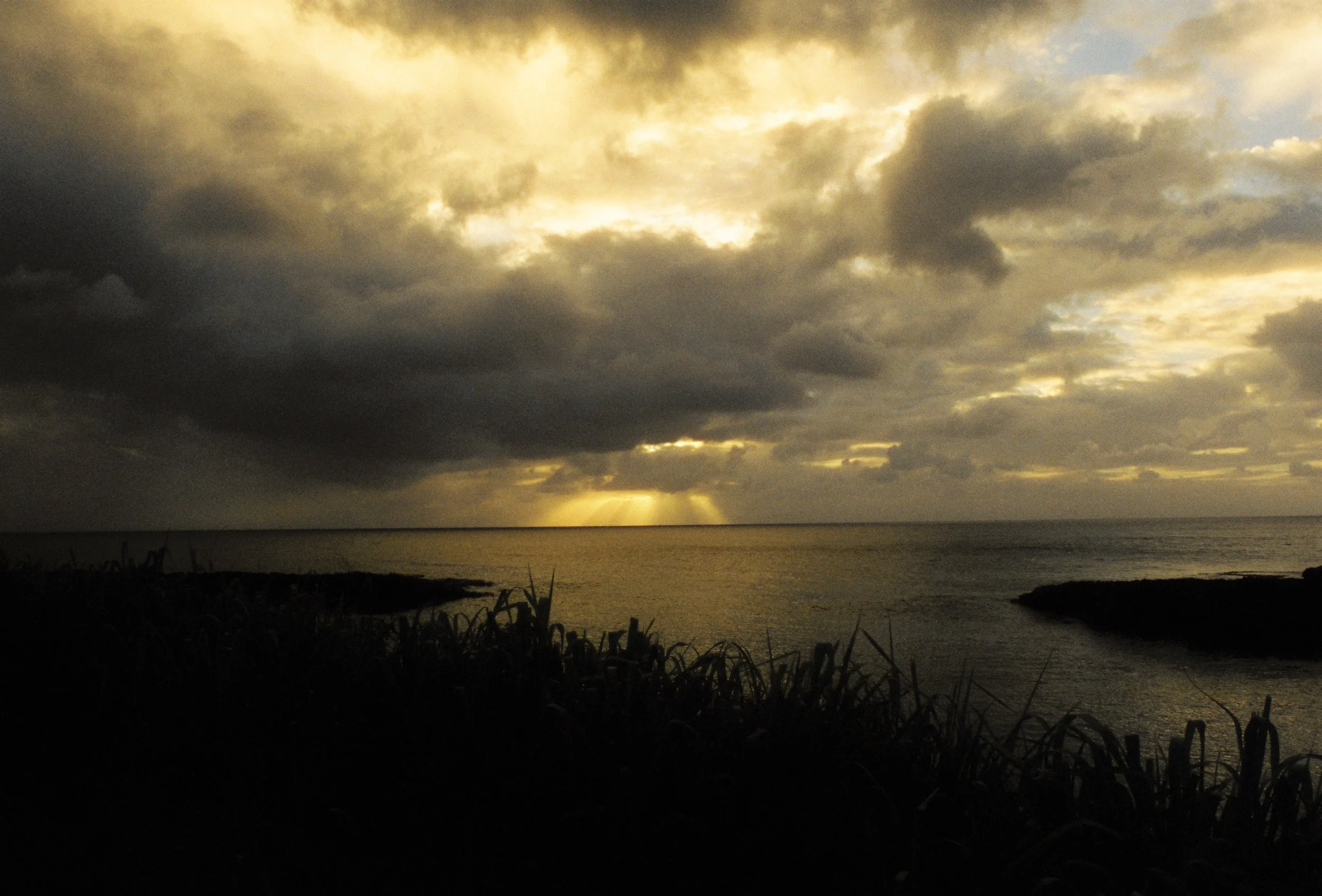Dark clouds over a body of water with rays of sunlight breaking through, and silhouette of vegetation in the foreground.