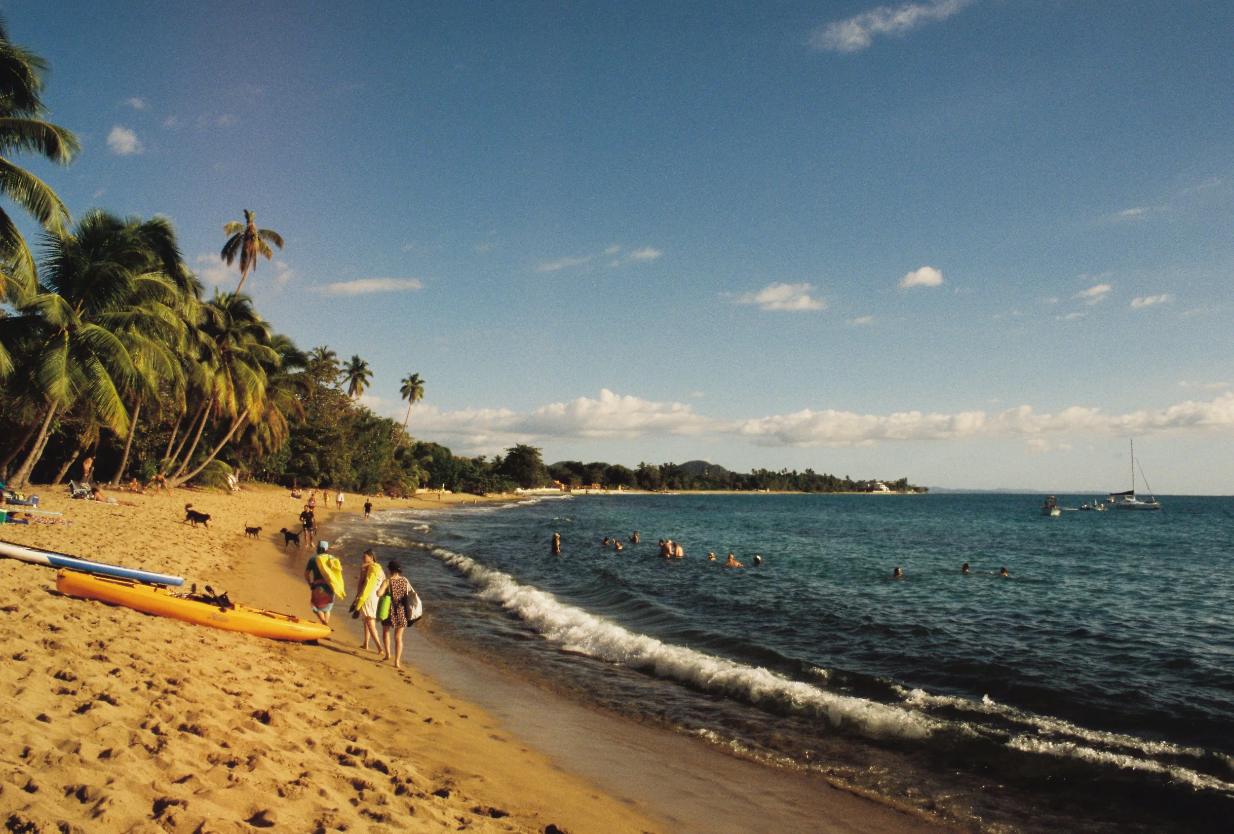 A tropical beach scene with palm trees, people swimming in the ocean, people walking on the sandy shore, and boats anchored in the water. The sky is partly cloudy and the weather appears warm and sunny.