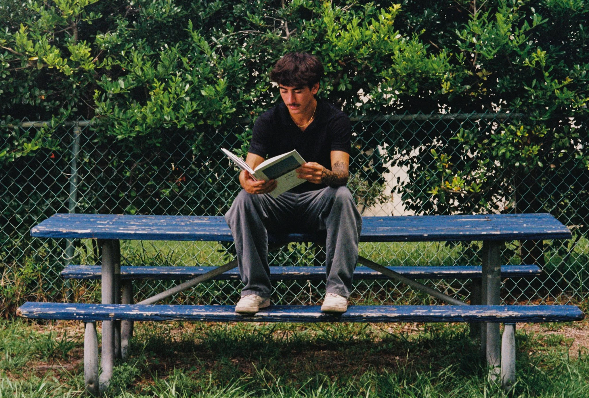 A young man with dark hair, mustache, and tattoos on his left arm, sitting on a blue park bench reading a book, with a green hedge and chain-link fence in the background.