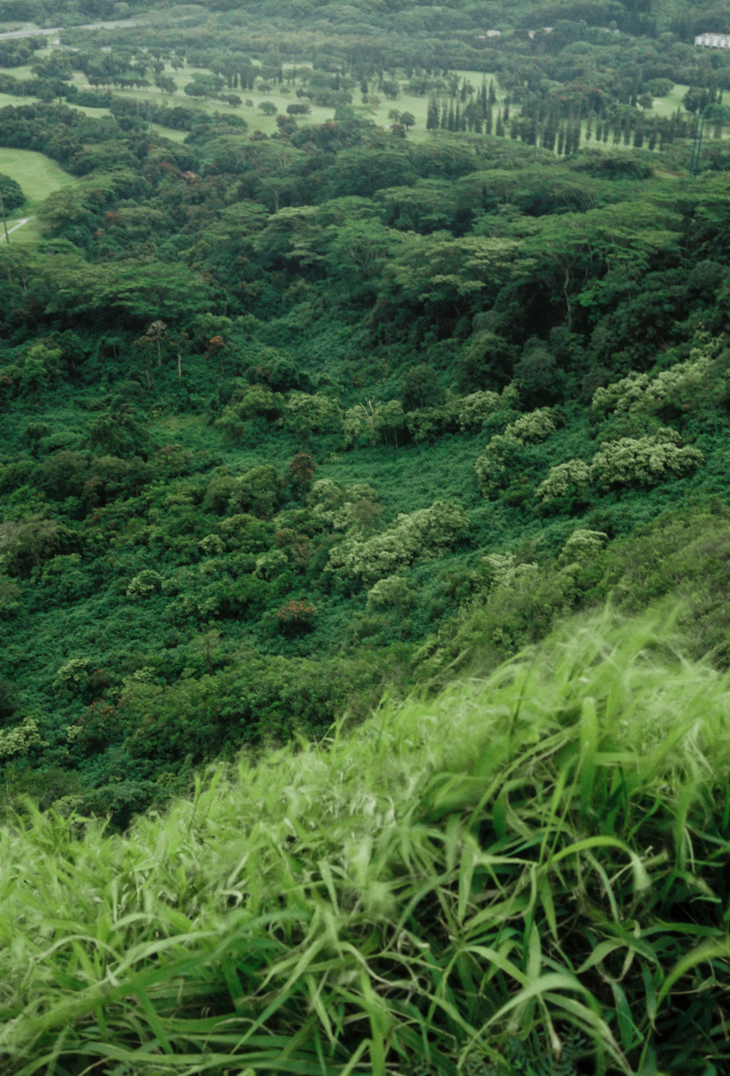 Lush green landscape with dense forested hills and patches of open grassy areas, extending to the horizon.
