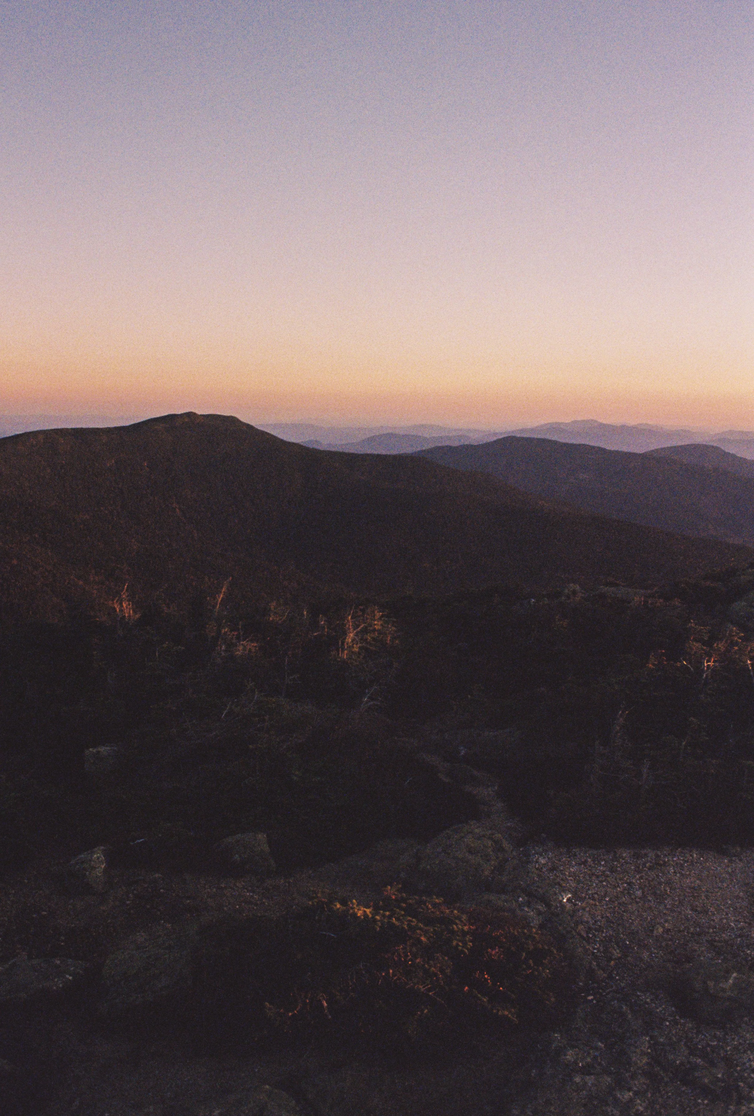 Sunset over mountain range with partially obscured trees in the foreground.