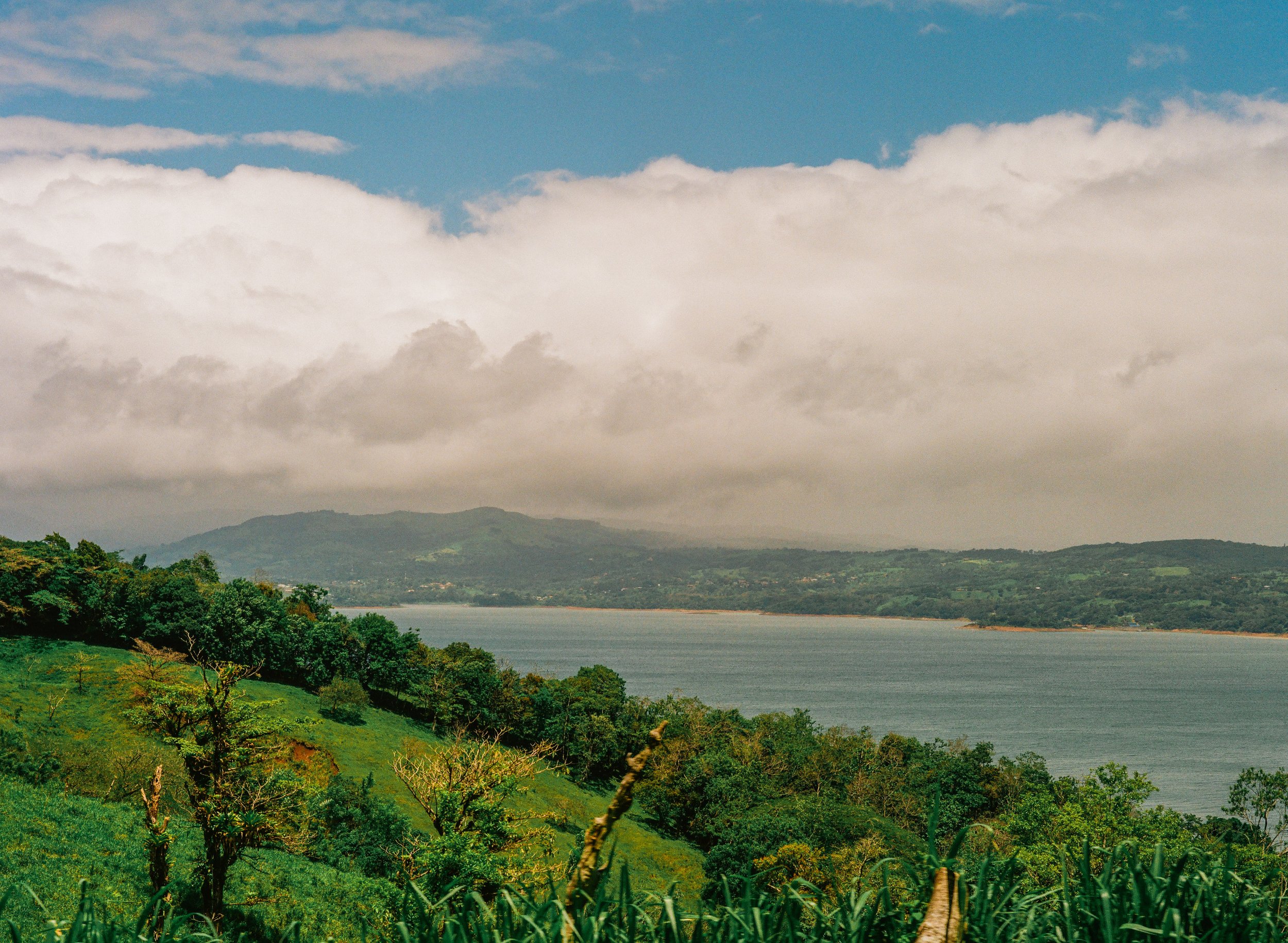 Lush green hillside with trees, overlooking a large body of water with distant mountains and a partly cloudy sky.