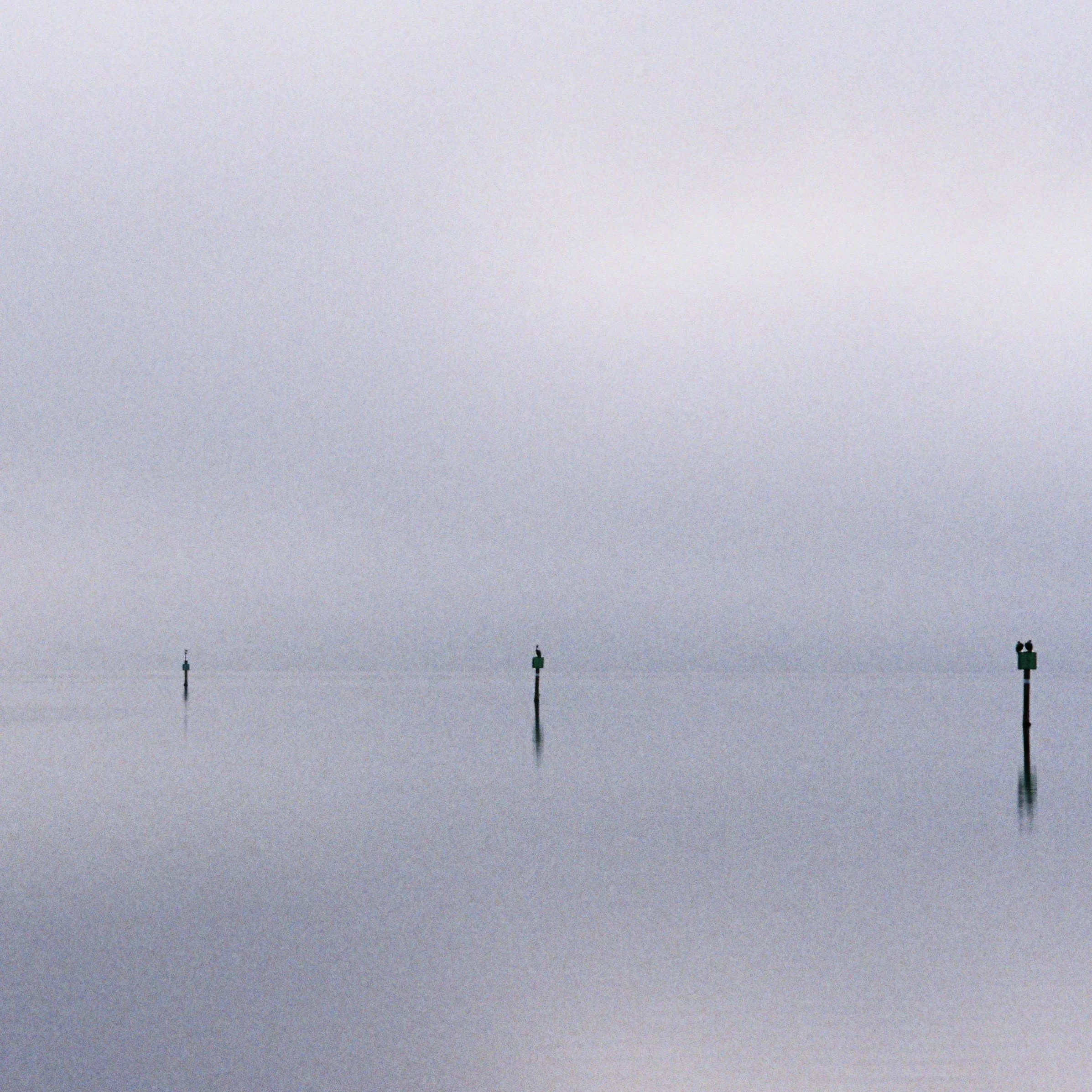 daviddi_daviddi-R6-014-5A 2.jpg