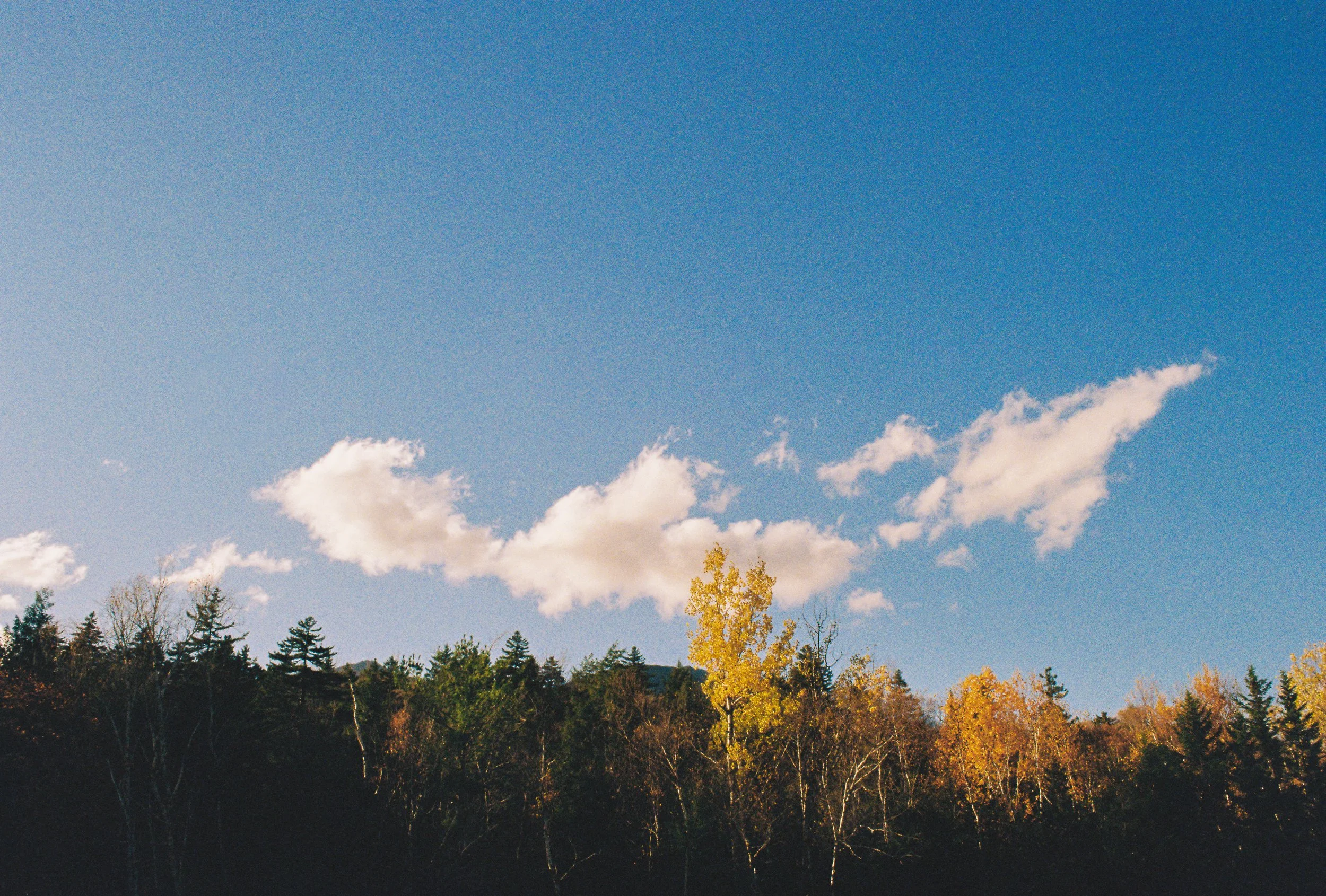 Clear blue sky with a few white clouds above a forest with autumn-colored trees.