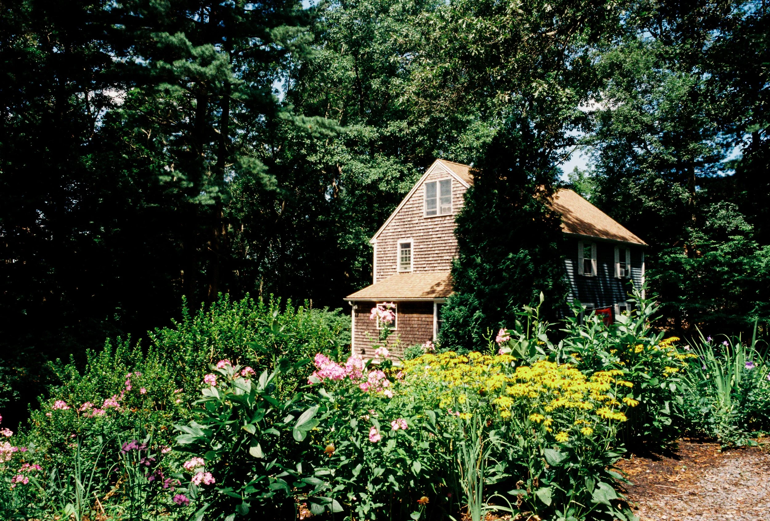 A wooden house surrounded by lush green trees and colorful flowers in a garden.