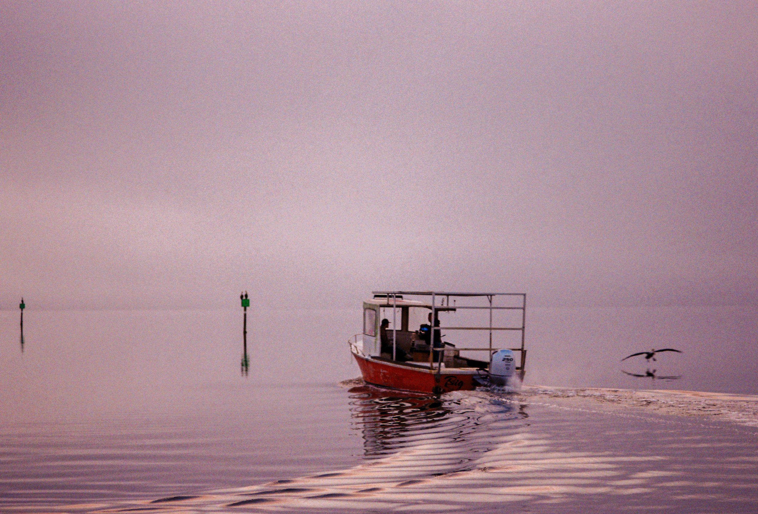A small red boat with a white cabin and an outboard motor on calm water, with a seagull flying nearby and pinkish sky in the background.