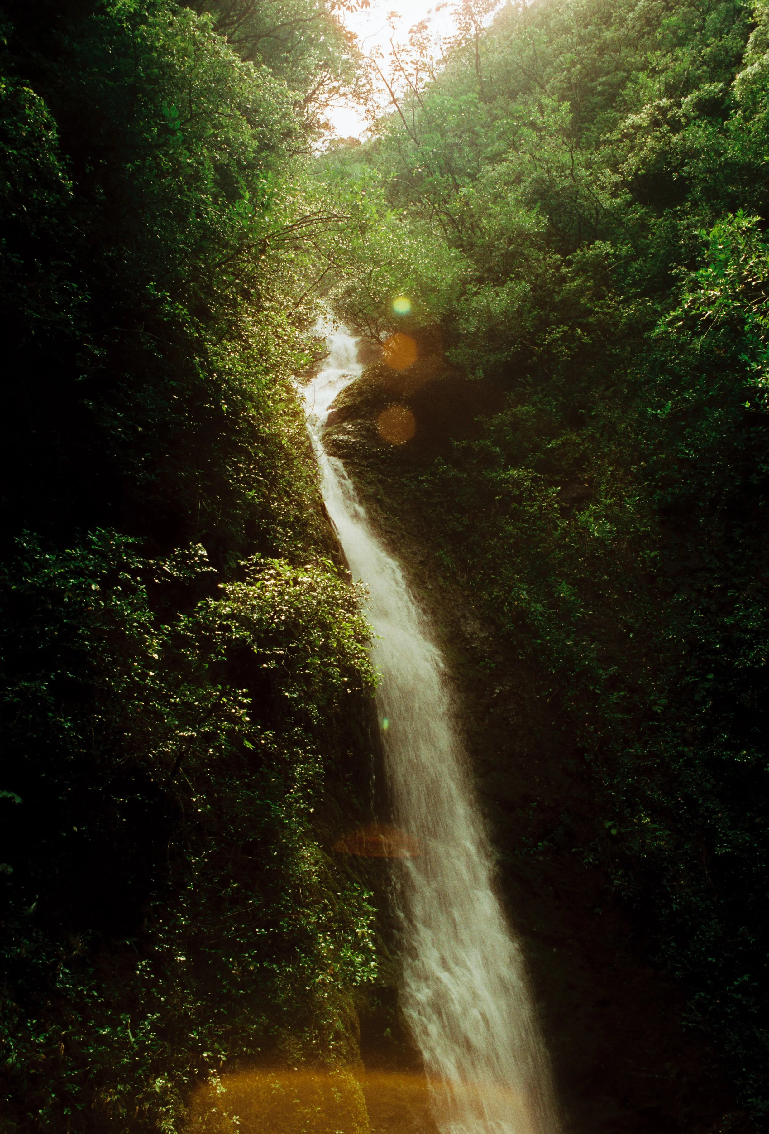A waterfall flowing down a mossy cliff surrounded by lush green trees with sunlight filtering through.