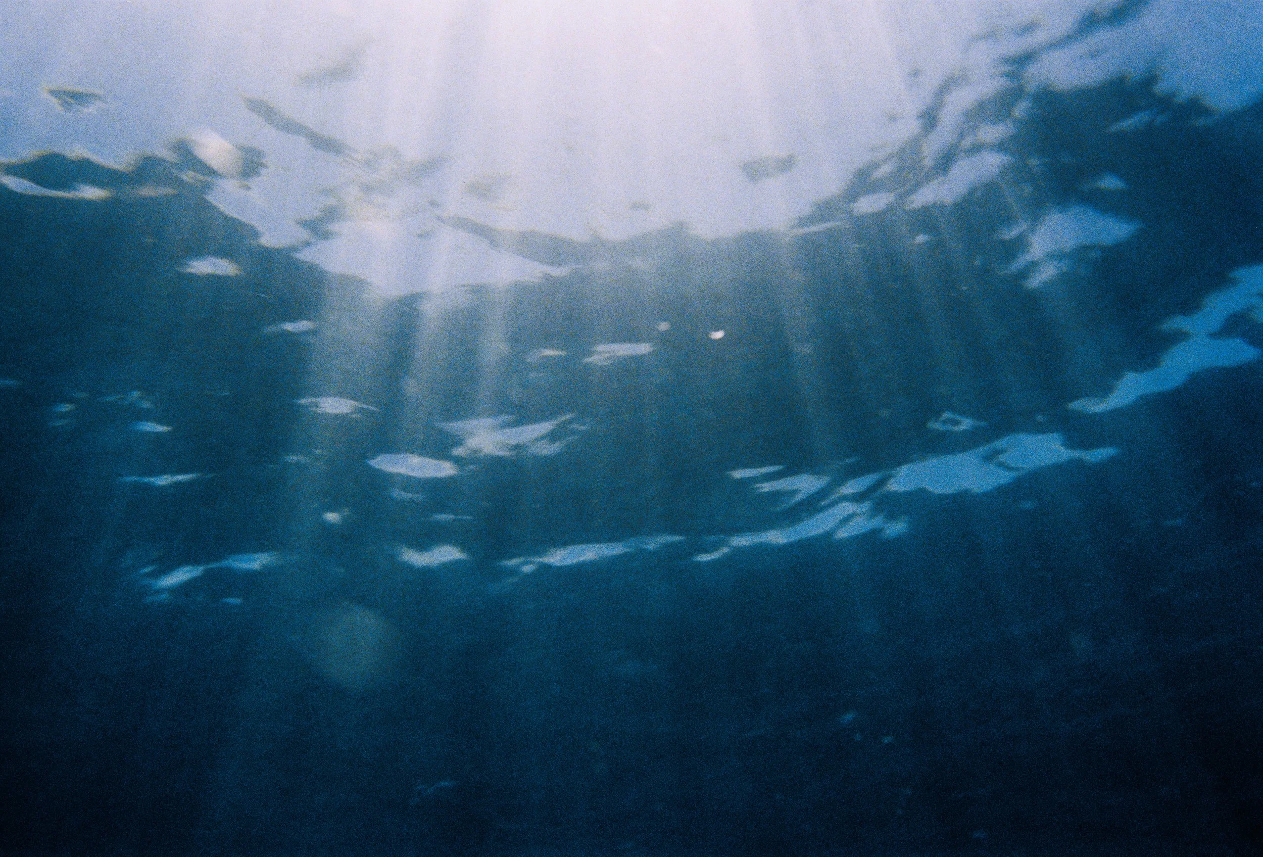 Underwater view showing sunlight rays penetrating the ocean surface.