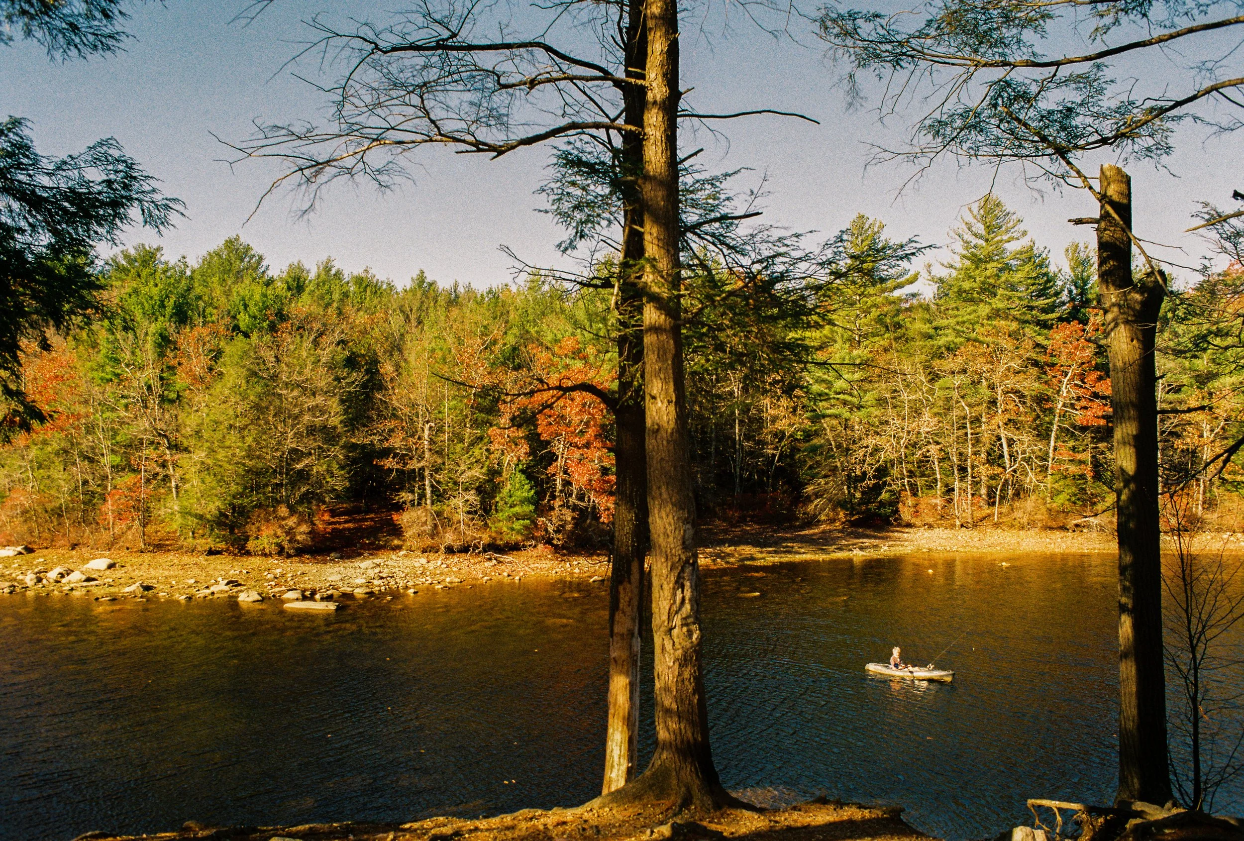 A person in a small boat floating on a river, with trees and a clear sky in the background.