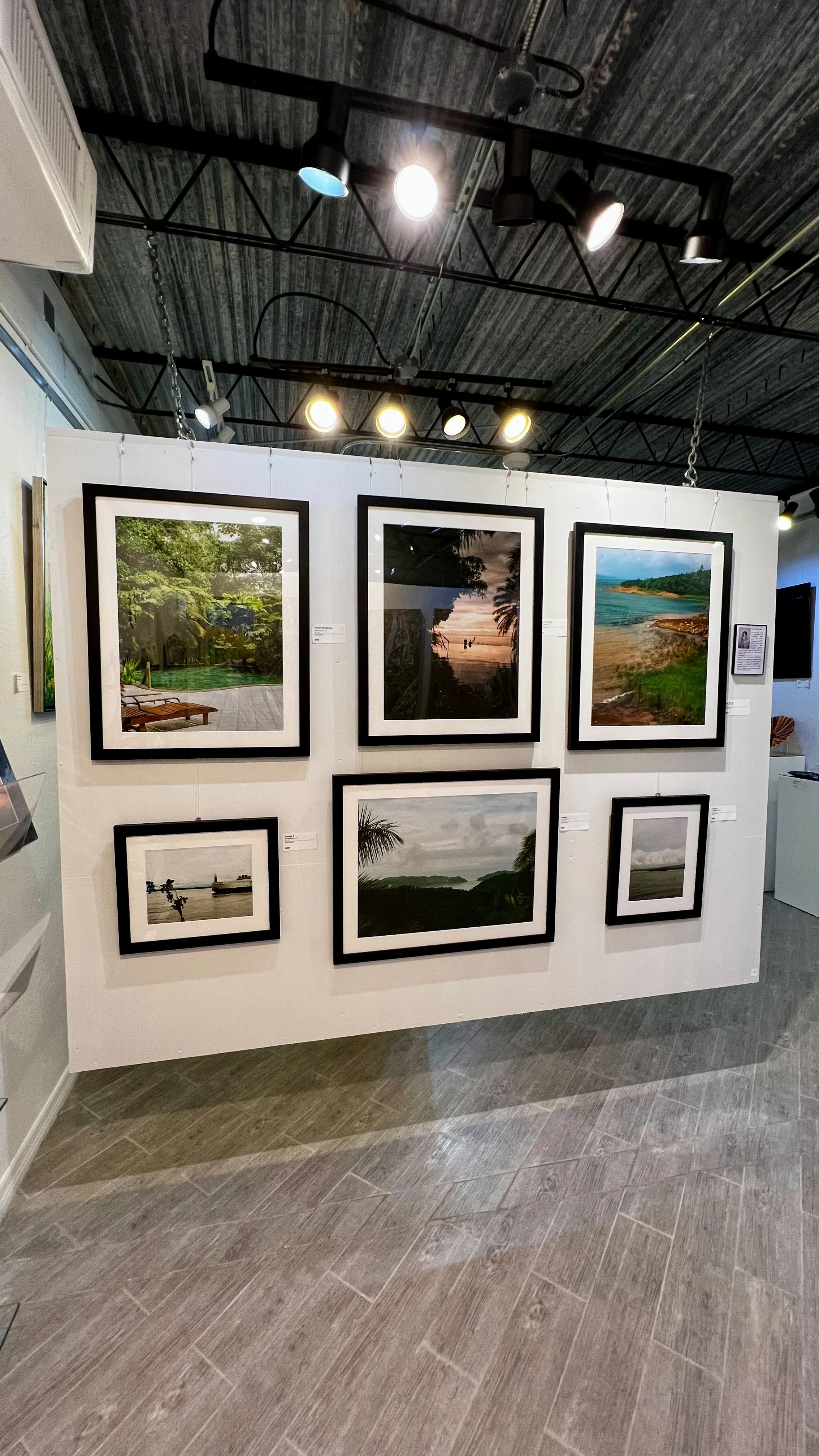 Gallery display of framed photographs of outdoor landscapes and nature scenes on a white wall in an art gallery with track lighting.