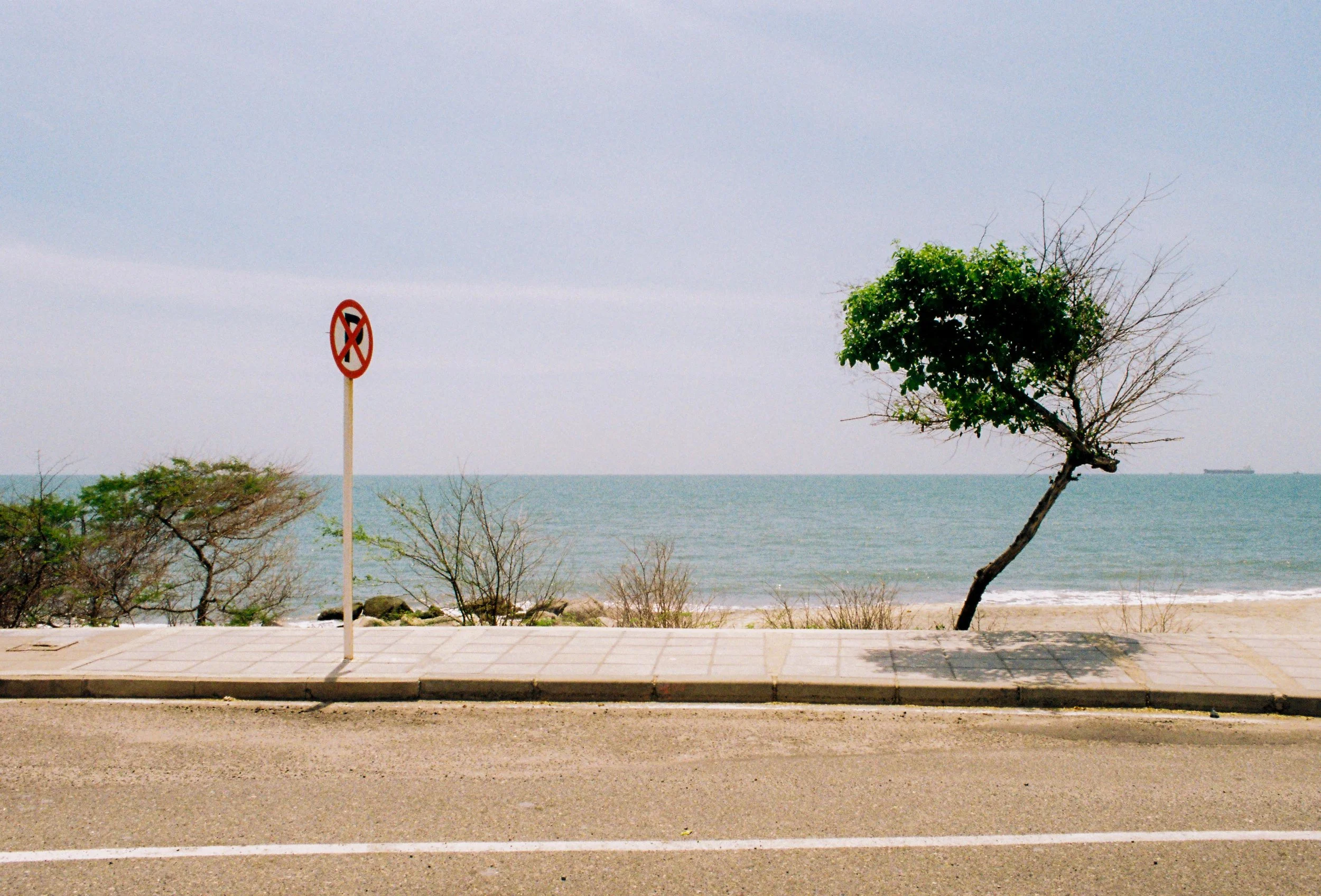 0davidd_0davidd-R6-073-35.jpg