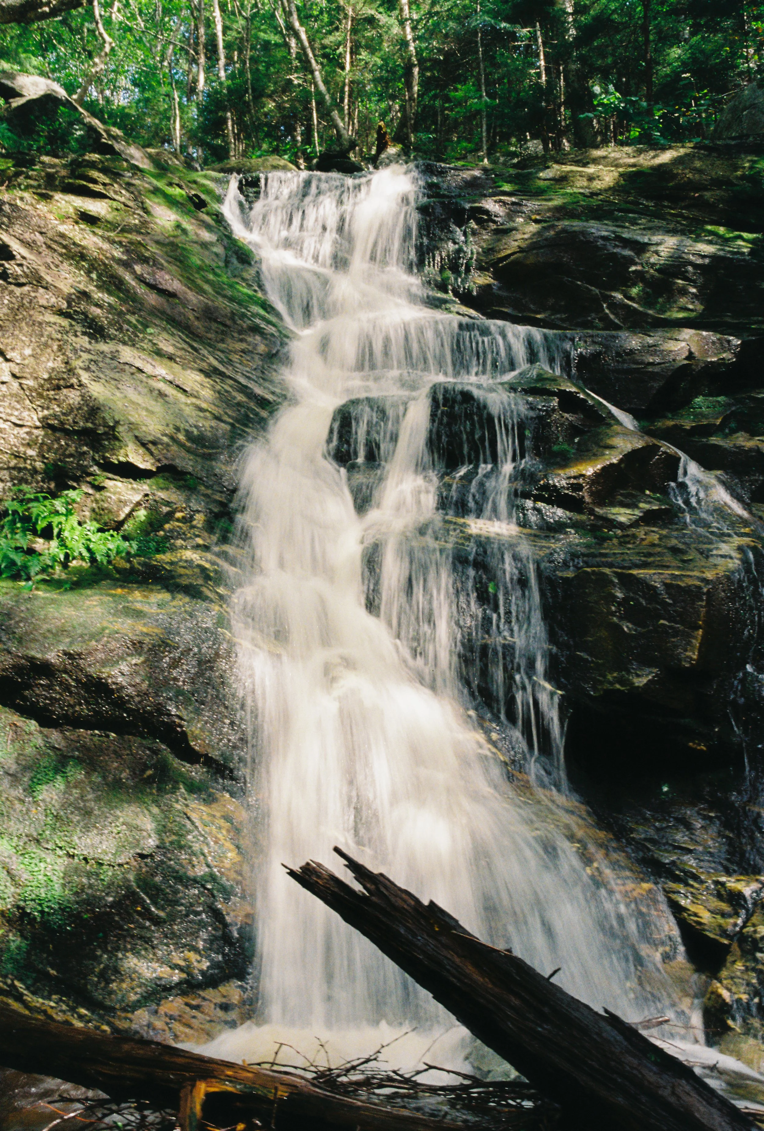 A cascading waterfall flowing over rocks in a lush green forest.