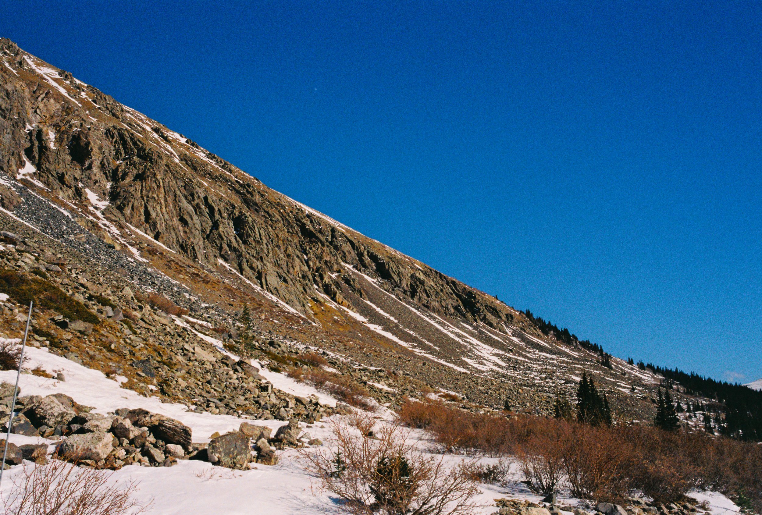 Snow-covered mountain slope with scattered rocks and sparse trees under a clear blue sky.