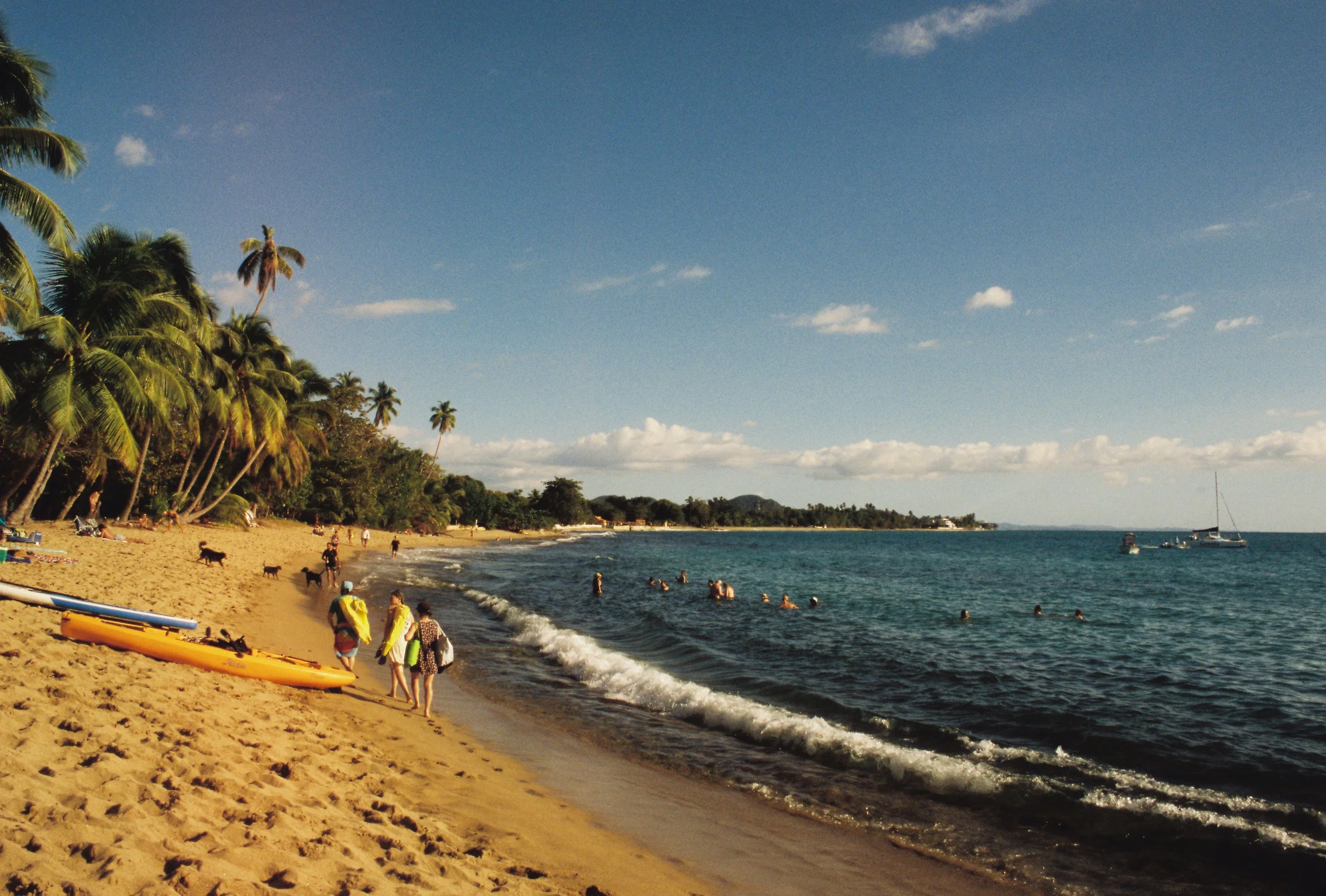 People swimming and relaxing on a sandy beach lined with palm trees, with boats in the ocean under a partly cloudy sky.
