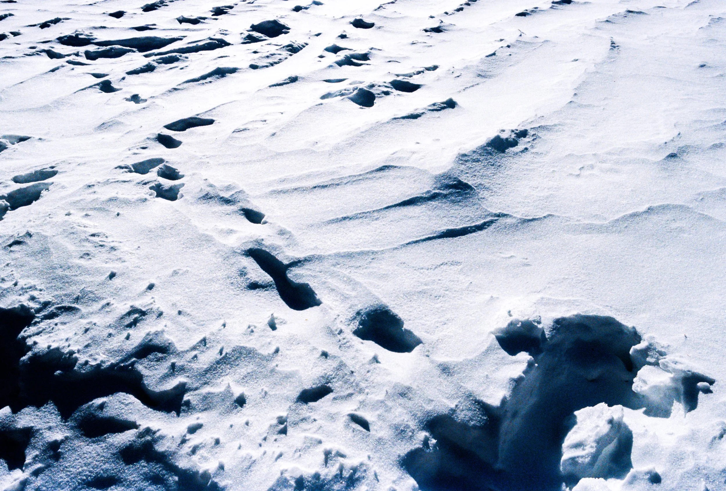 Snow-covered ground with animal tracks and footprints..