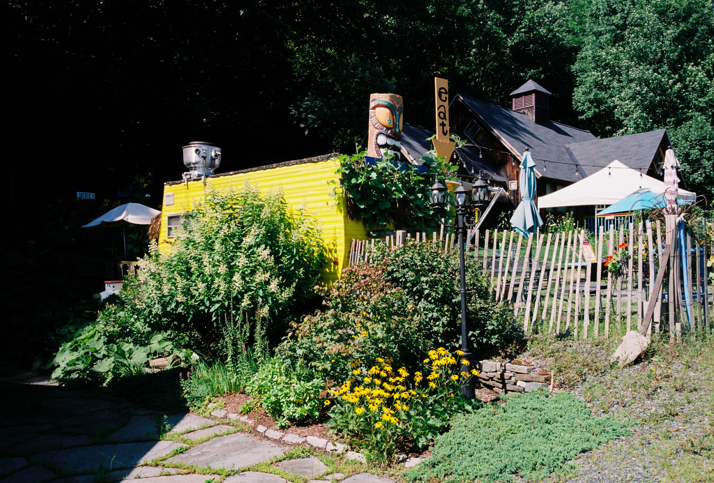 Colorful outdoor scene with a yellow food truck, and various plants and flowers in the foreground, picnic tables with umbrellas, a wooden fence, and a house in the background under a clear sky.