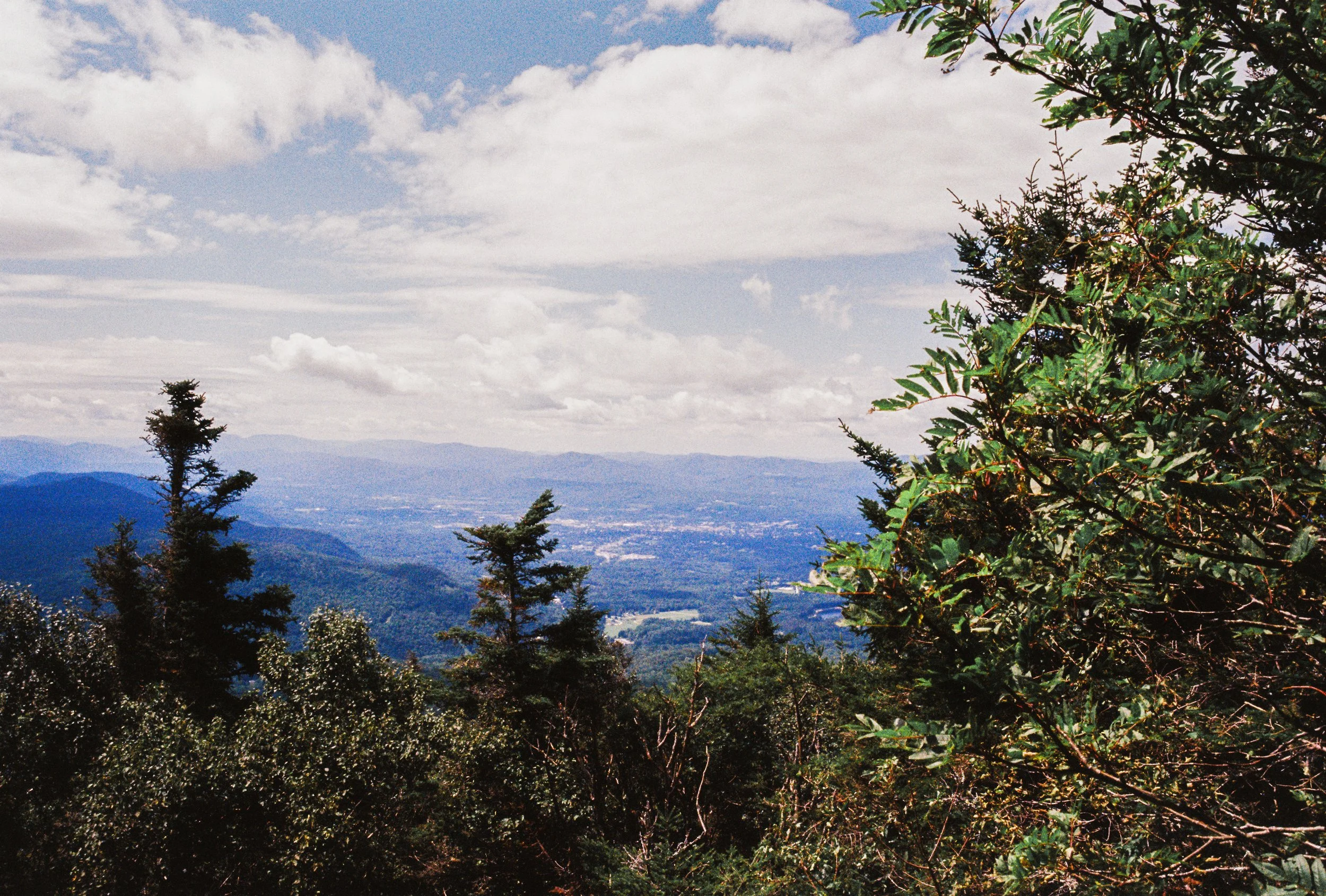 Landscape view from a mountain with trees in the foreground, hills, and a cloudy sky in the background.