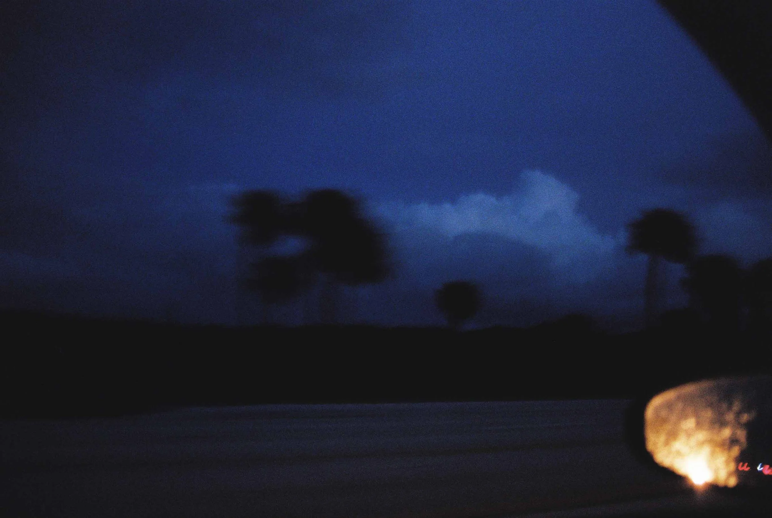 A dark, cloudy evening scene with silhouettes of palm trees against a blue sky, and a distant bright light on the right side near the horizon