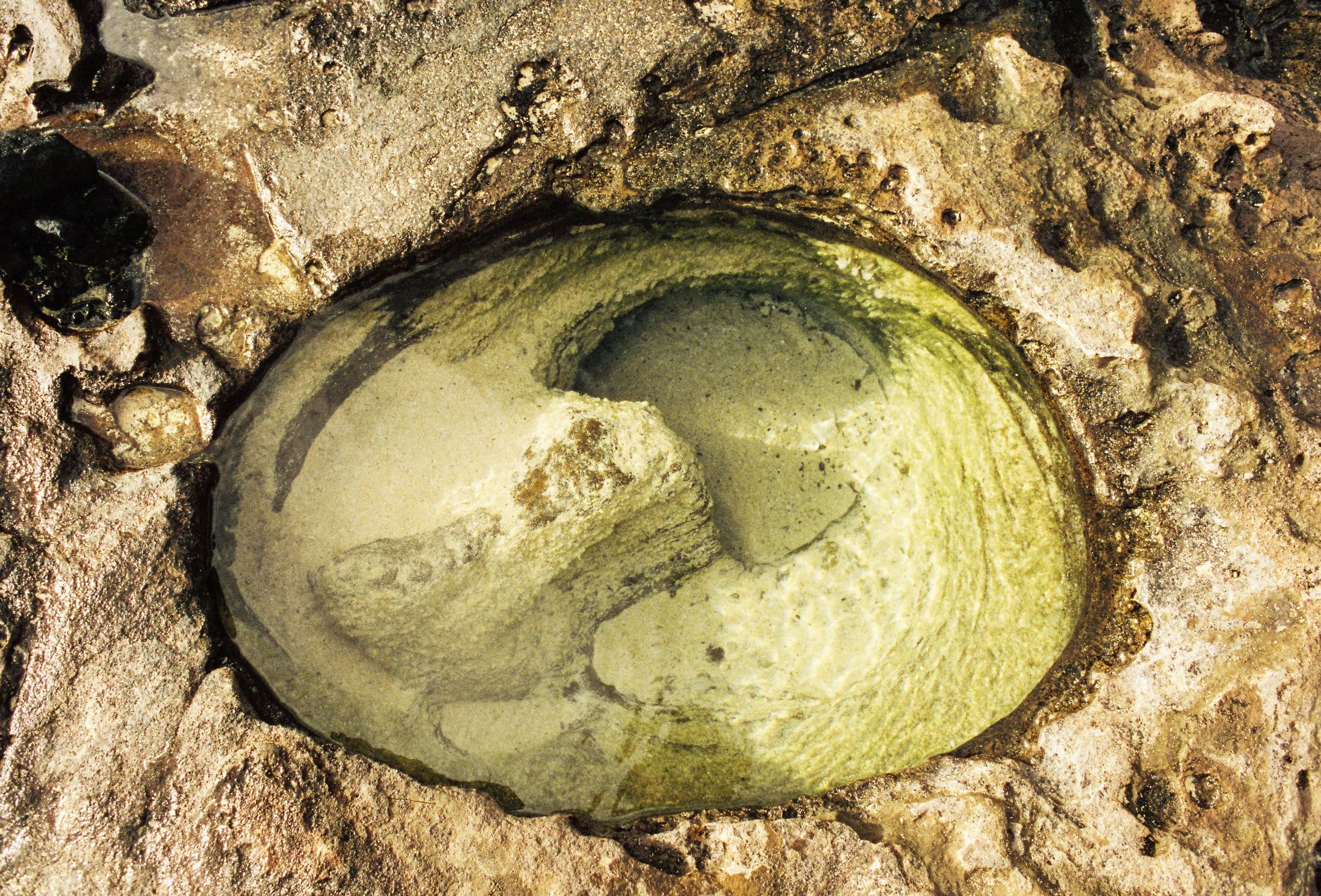 A tidal pool that looks almost alien, as the sun touches the water, and makes the photo shine