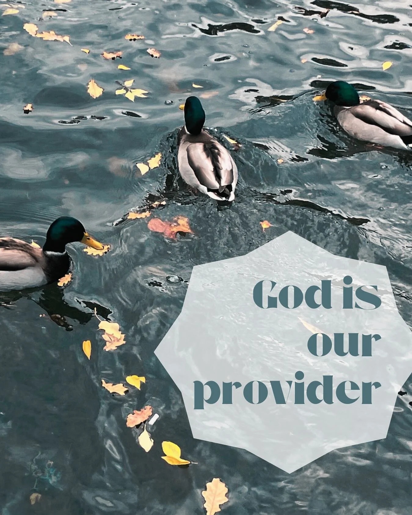 As I walked by a pond in Budapest, I saw children throwing bread to feed a group of ducks, and I couldn&rsquo;t help but smile. It was such a sweet reminder of how our Heavenly Father loves to provide for us (and does so according to His riches in he