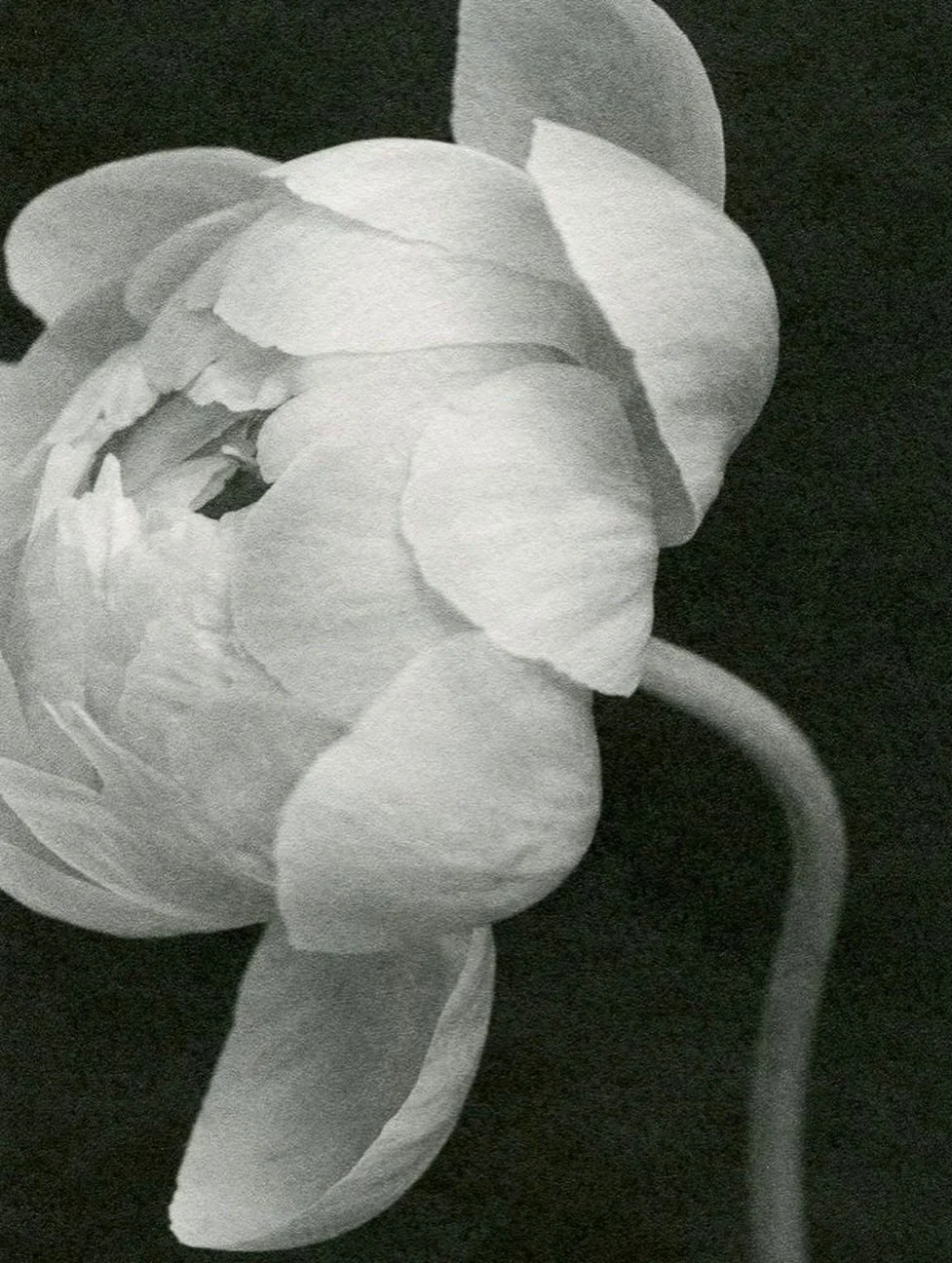 Un nuovo allestimento vi aspetta,
Nuovi fornitori tutti da conoscere,
Nuove esperienze e idee 

Rimanete aggiornati, nel prossimo post vi sveleremo le date!

#lovelab #weddingevent #eventimatrimoni #milano