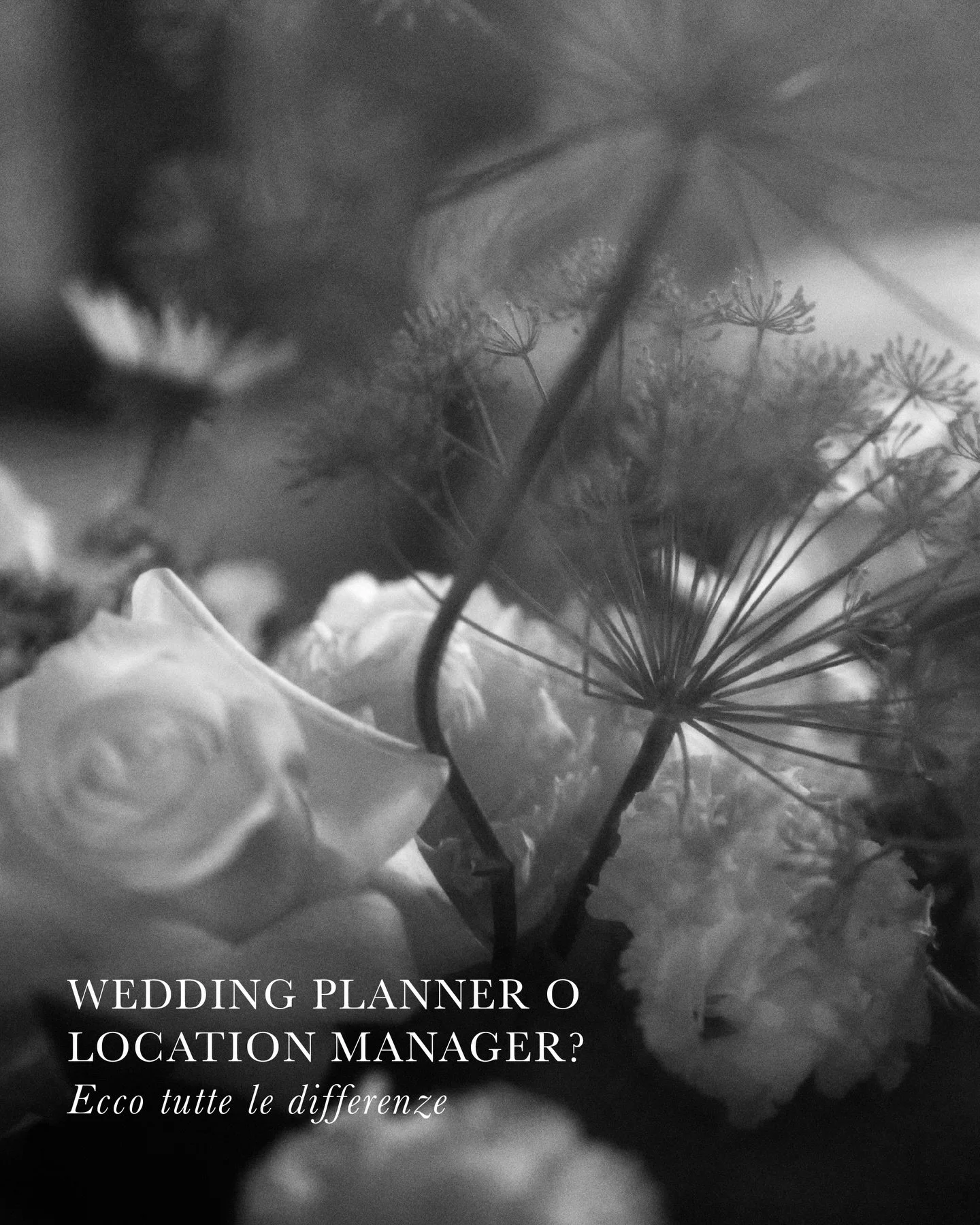 Capiamo assieme le differenze tra queste figure e quale scegliere in base alle tue esigenze!
-
Approfondisci l'argomento sul nostro blog!
-
In questo articolo:

@jiyuwedding 
@rossellaputinophotographer 
@lucapelucchi_wedding 
@triulzoanticadimora 

