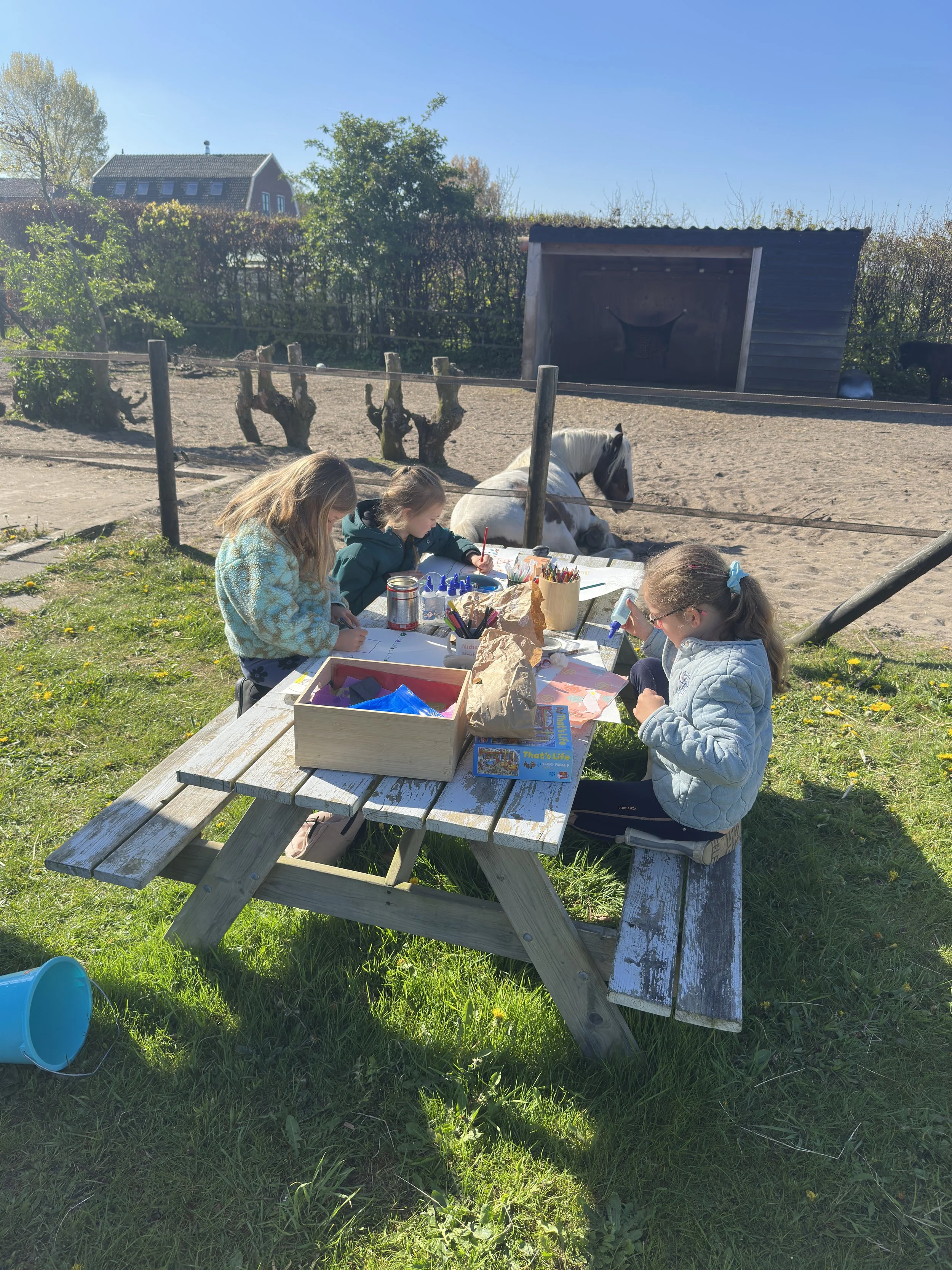 Ponyclub Haarlem