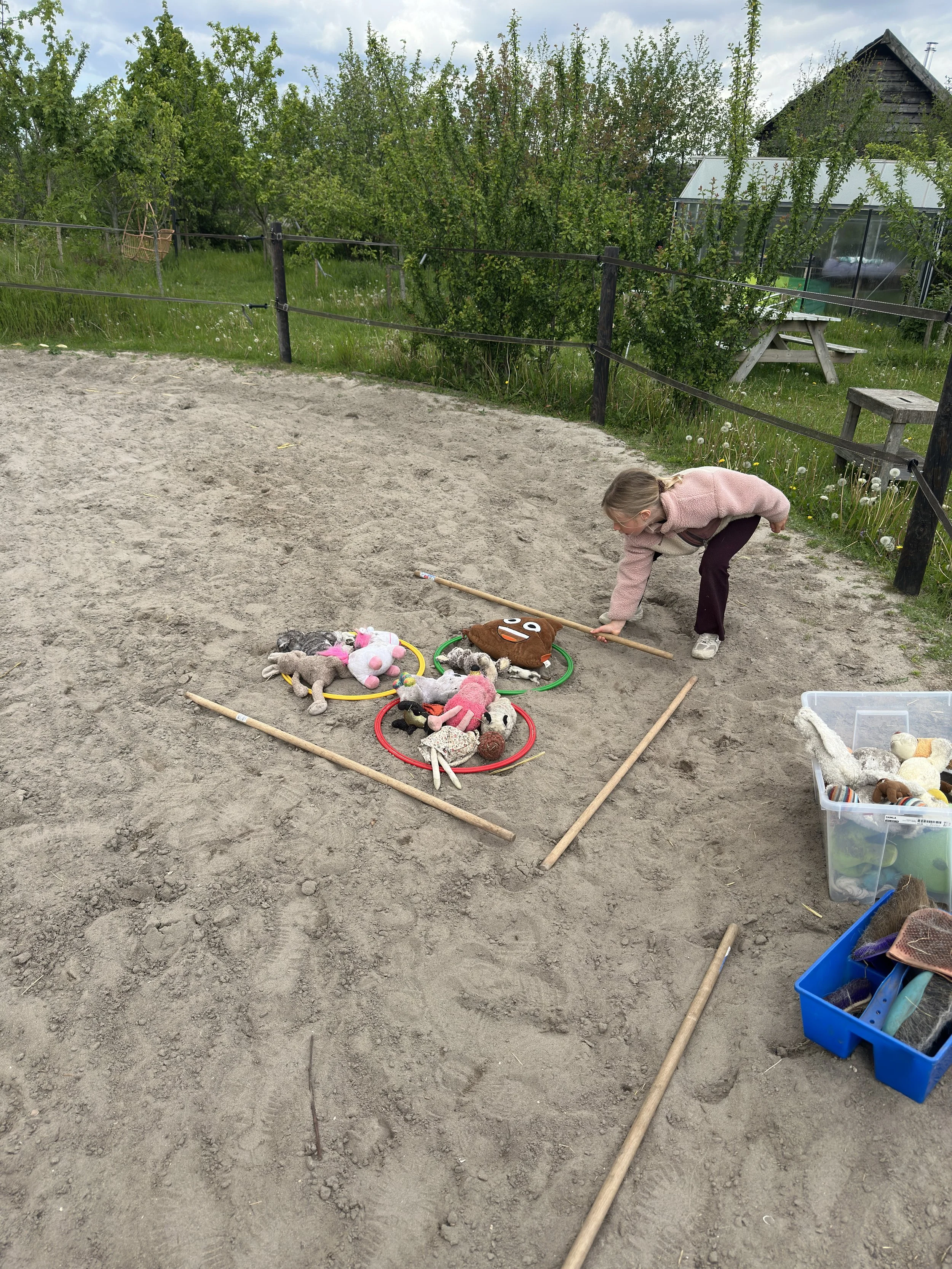 Traject kindercoaching met paarden
