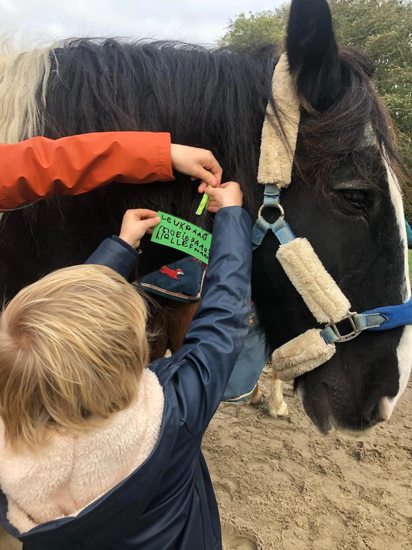 Complimenten aan het paard geven is leuk! En dat maakt praten over alle mooie dingen die jij bent en  kan een stuk makkelijker 🥰
#kindercoaching #paardencoaching #zelfvertrouwen #positiefzelfbeeld