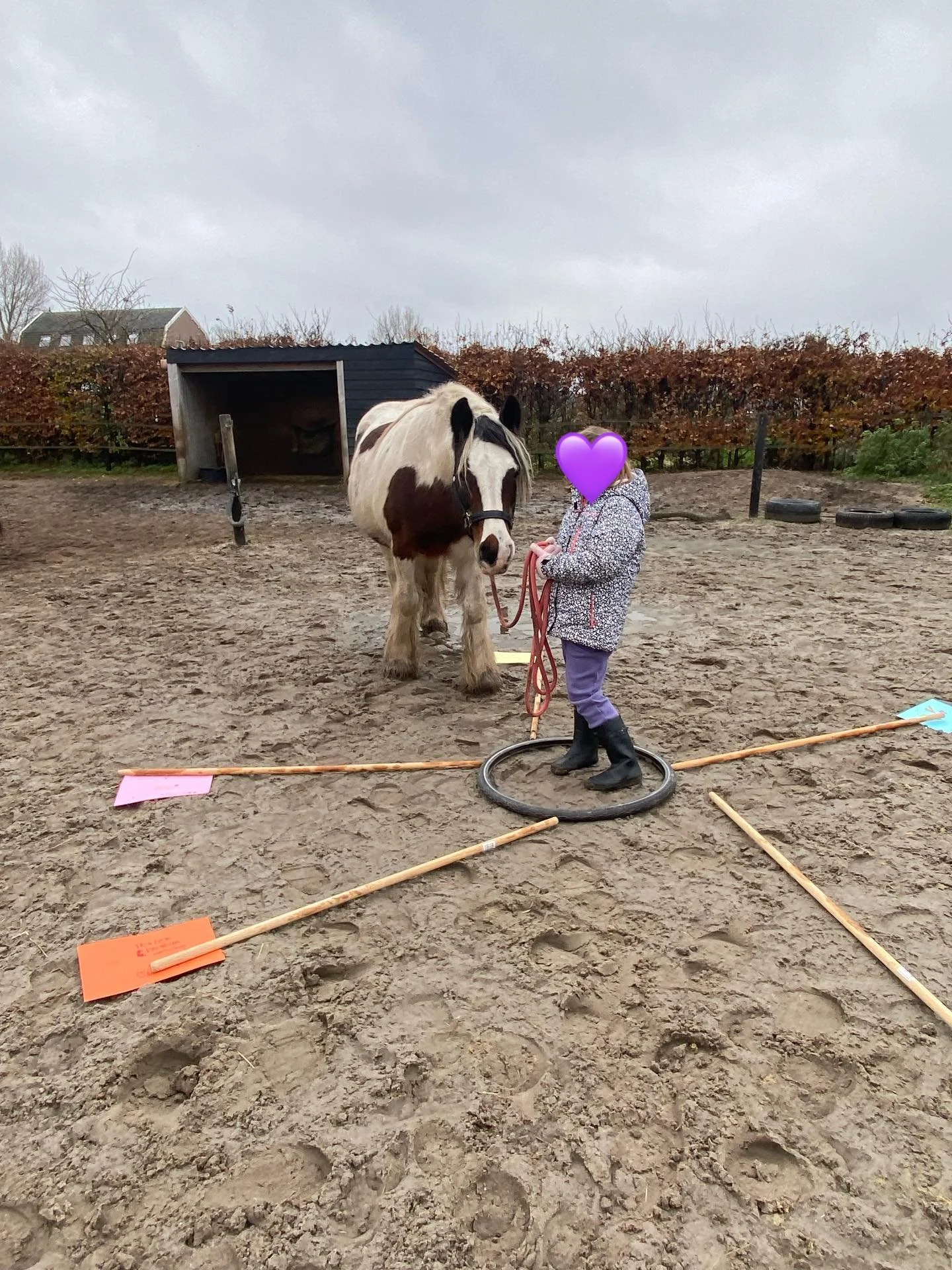 PonyRanchKids geeft meer rust, meer zelfvertrouwen en een positiever zelfbeeld bij kinderen. 

Door paardencoaching en creatieve activiteiten ontdekken de kinderen over zichzelf. Voelen dat je er helemaal mag zijn, gezien worden en leren door de wijs