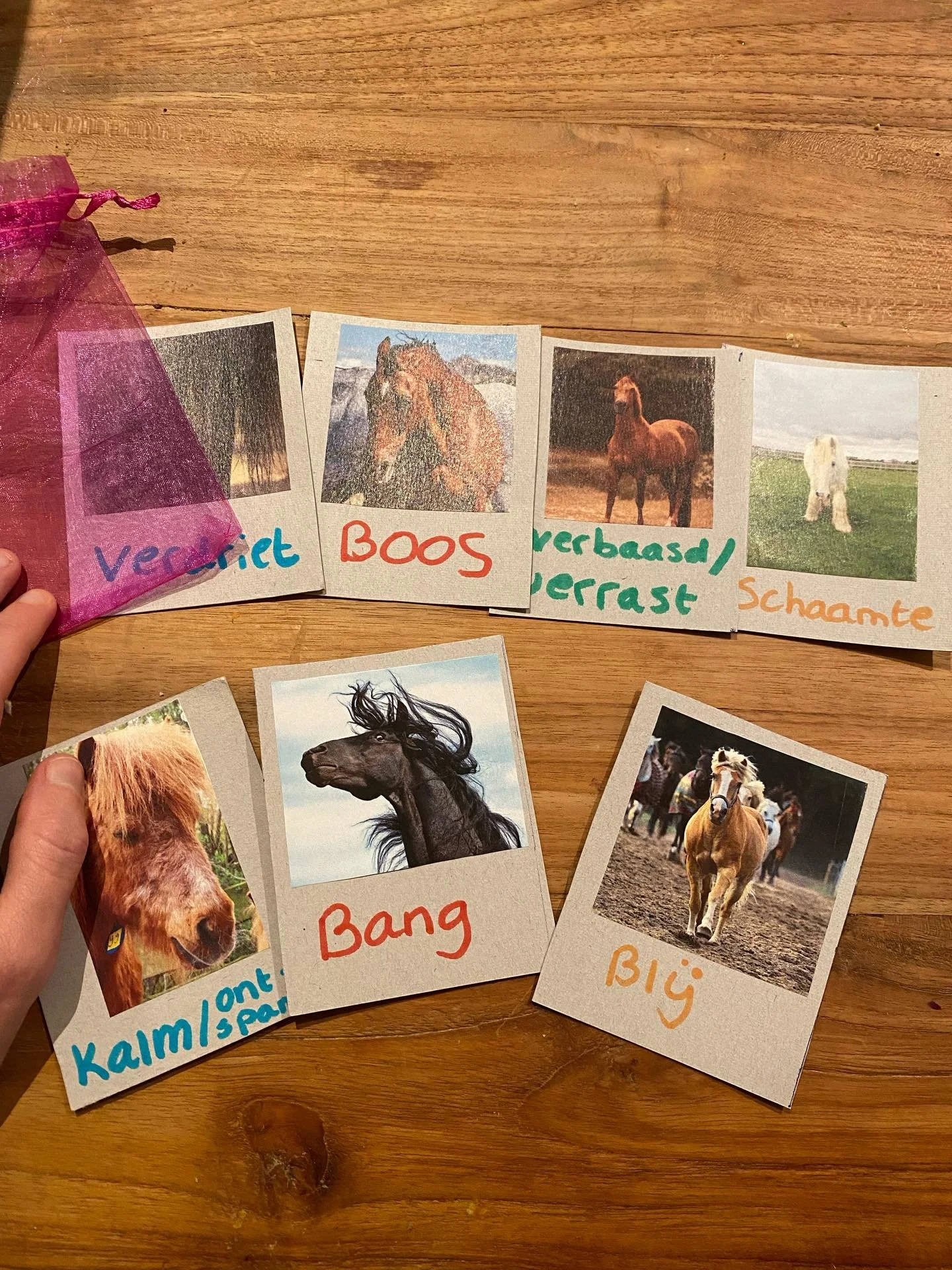 Emoties verkennen met de paarden ✨

Wist je dat paarden enorm goed zijn in het lezen van je binnenwereld 🥰

Het maakt niet uit of jouw jas blauw of rood is, wat ze wel zien is hoe het &eacute;cht met je gaat en alle liefde die er in je zit ❤️

#kind