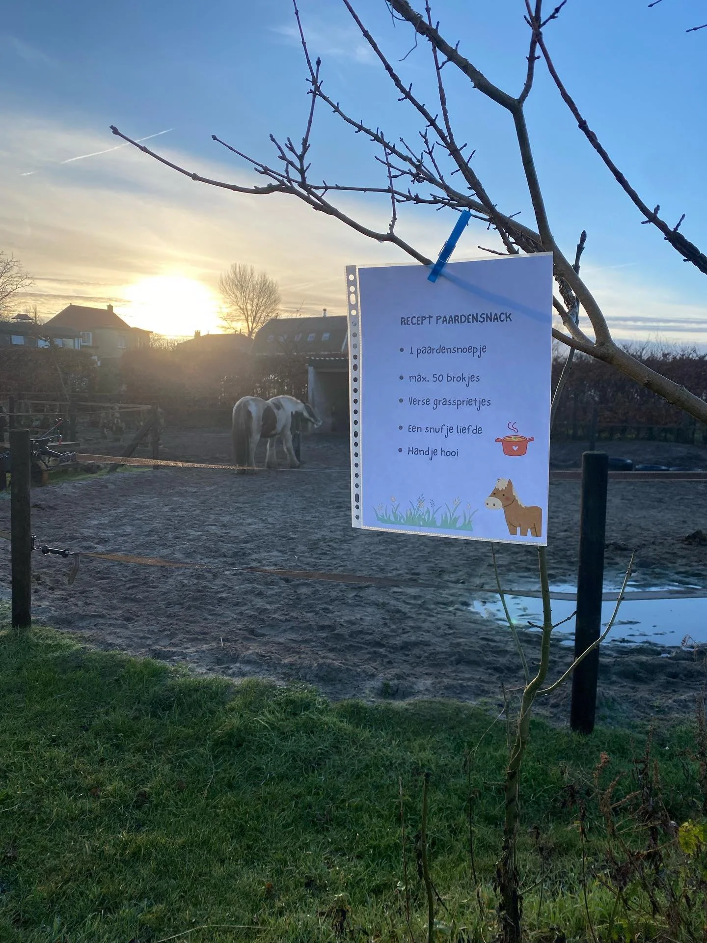 Zelfs in de winter is het zo fijn bij @ponyranchkids 🌞❄️ 

Zo fijn voor de kinderen is de ponyclub om de zaterdag van 10:00 tot 11:30. Verdiepend knutselen geinspireerd door de paarden en de natuur. In het gras, aan de picknicktafel, in de hooischuu