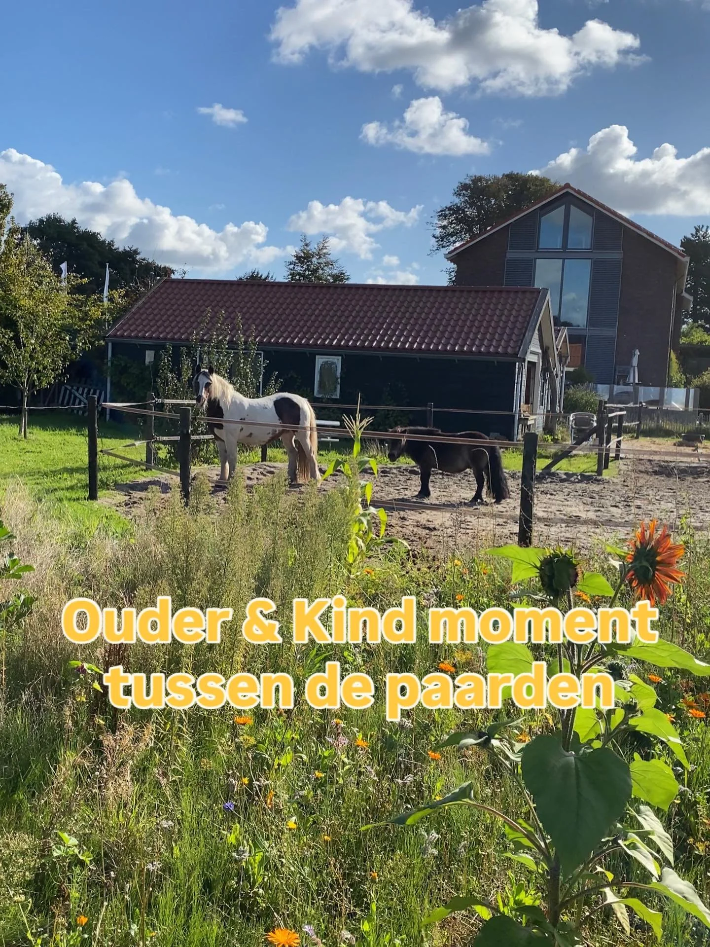Ja! Ja! Ja! Dit is super leuk voor alle ouders en kinderen 🥰

PonyRanchKids is aangesloten bij @bewustbollenstreek en vrijdag 10 april is er weer open praktijk route!

Die middag is er ruimte voor 3 ouder-kind koppels van 16:00 tot 18:00 bij PonyRan