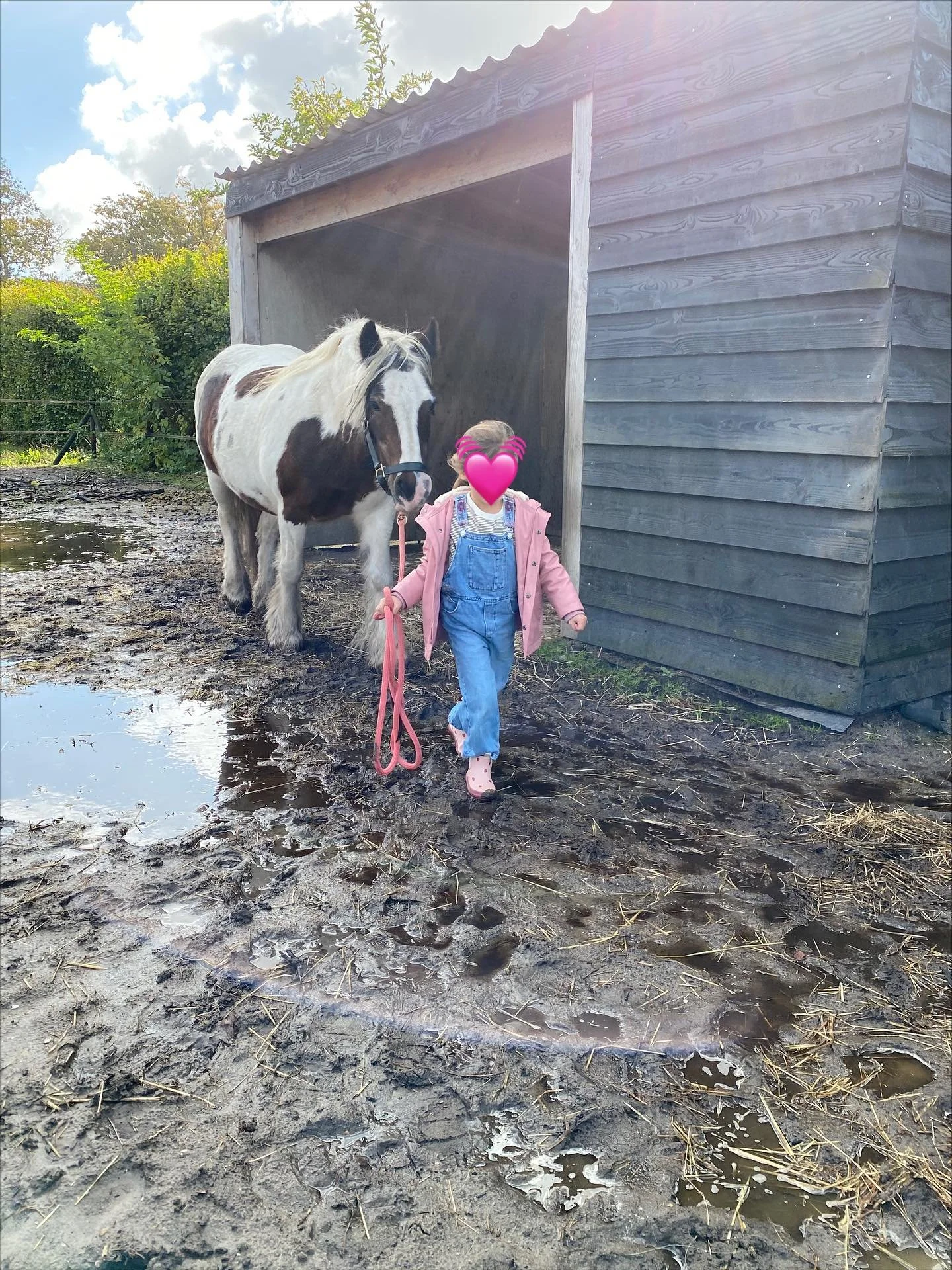 PonyRanchKids is anders dan een manege..

Hier leer je niet op een paard rijden en ook niet hoe je hoeven moet uitkrabben. Ik vertel de kinderen ook niet hoe ze met een paard moeten lopen.

Bij PonyRanchKids is er geen goed of fout. Geen druk en je h