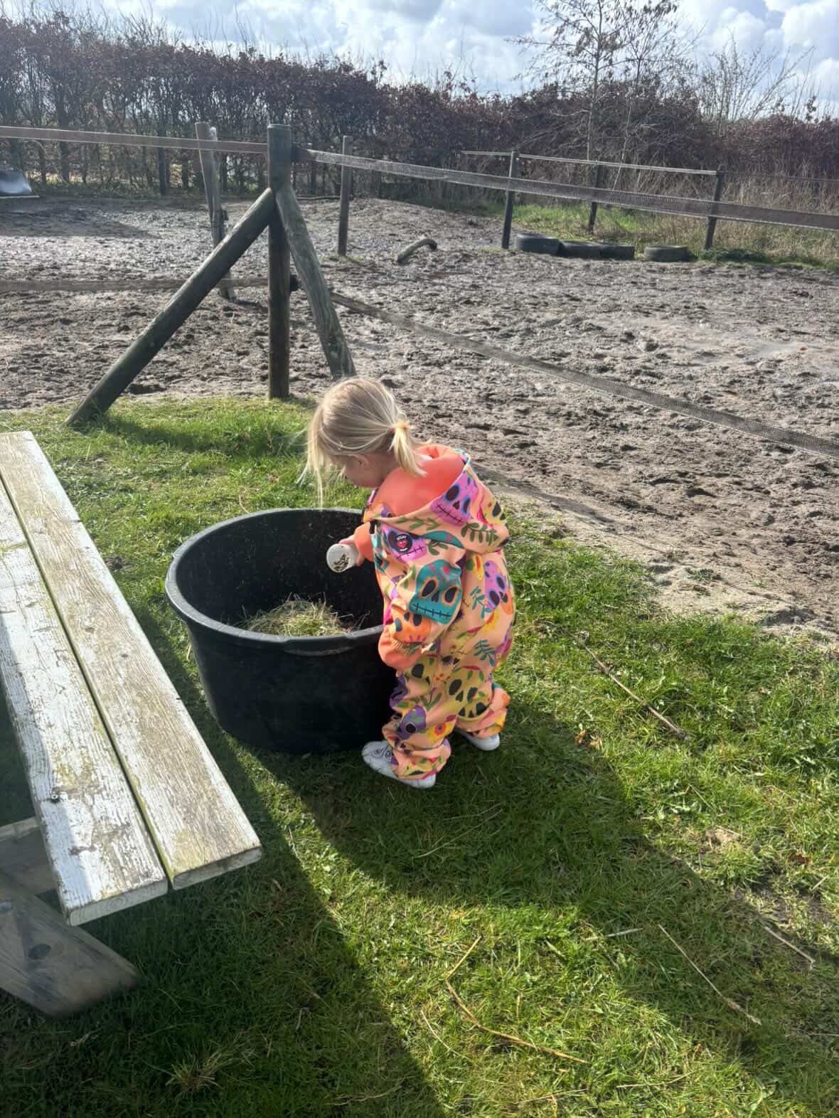 Nieuw! Magisch paardenmomentje voor de allerkleinste 😍

Samen met papa of mama is je kleintje welkom op onze mooie buitenplek met pony&rsquo;s Heike &amp; Daan. Jouw kindje mag koken voor de paarden waarbij we koken met een snufje liefde 🌈💕👩&zwj;