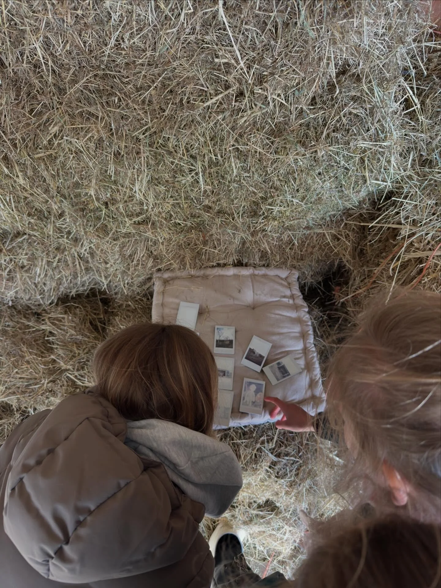 Fotograferen bij de zaterdagclub 6+ van @ponyranchkids 📷🤠

Wist je dat paarden aan ander gezichtsveld hebben dan mensen? Dat ze ook andere kleuren zien?

En dat onze kleine Daan vanaf een andere hoogte kijkt dan grote pony Heike? 

We ontdekten dat
