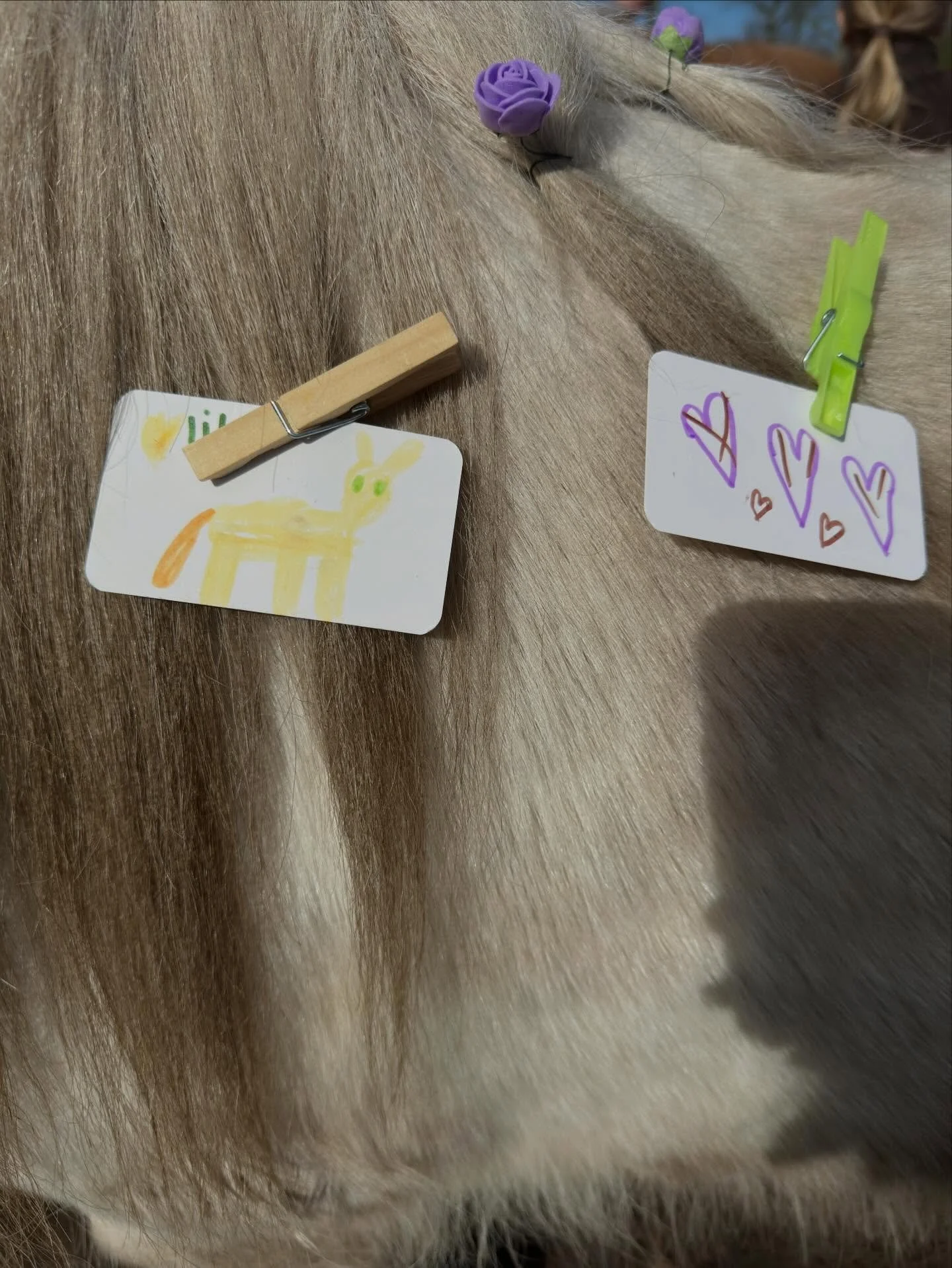 De lente is weer begonnen! Genieten van alle mooie momentjes tussen de kinderen en de paarden! Zin in de individuele coachsessies die gepland staan en de aankomende lessen bij de zaterdagclub 6+! En natuurlijk alle lente special workshops 🥰

Zo dank