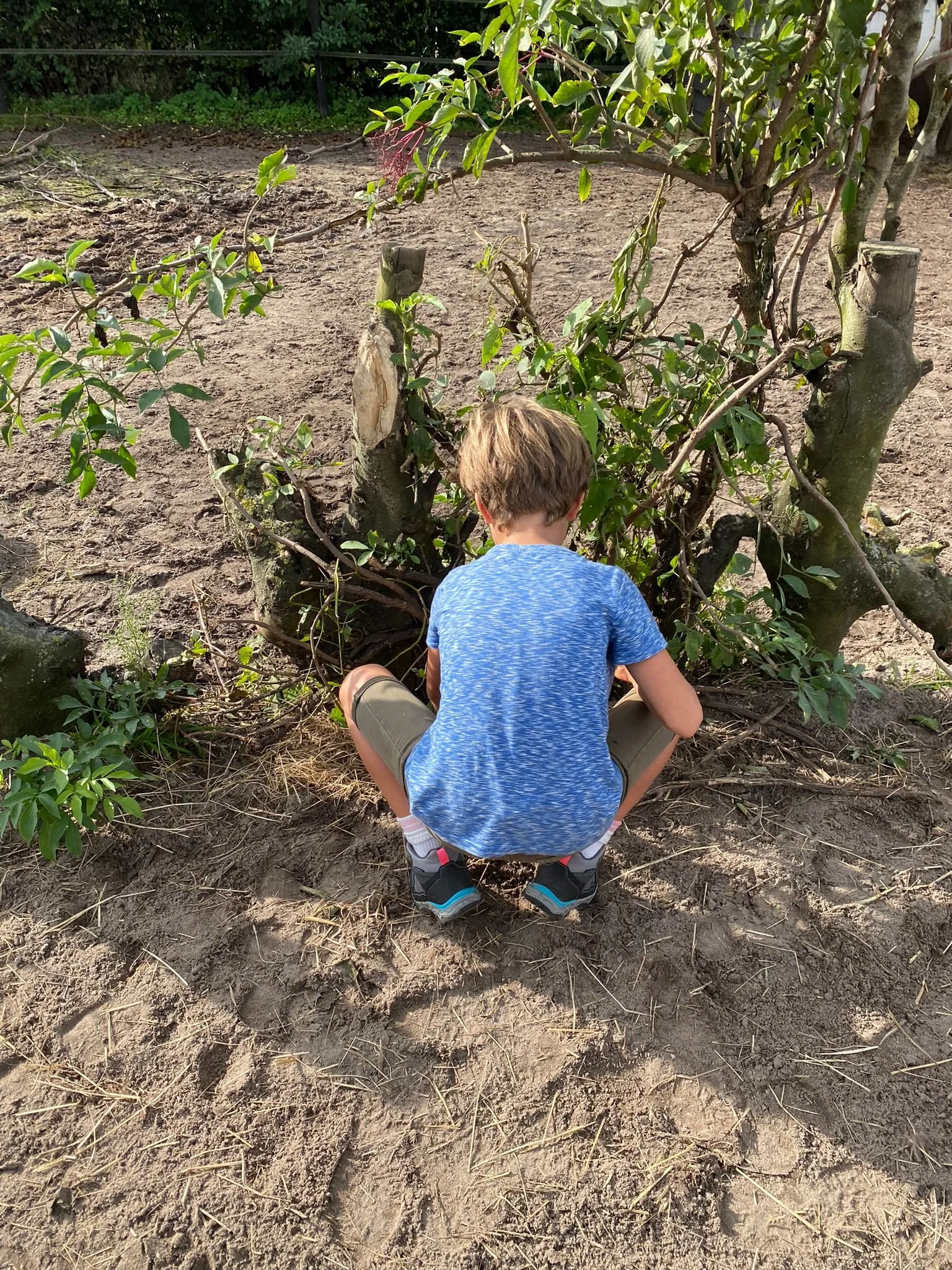 WhatsApp Image 2025-09-25 at 23.51.18.jpeg