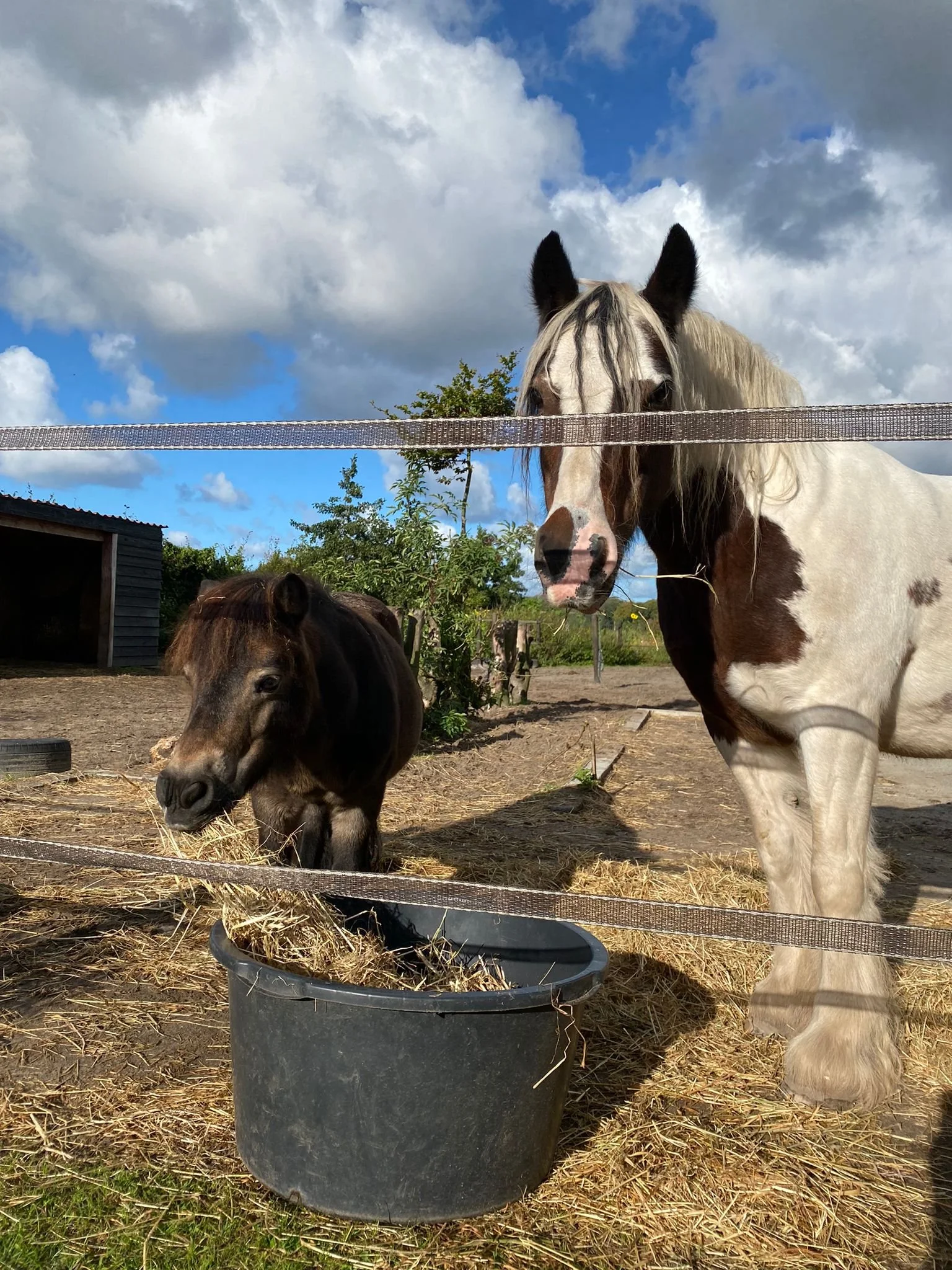 WhatsApp Image 2025-09-25 at 23.51.16-3.jpeg