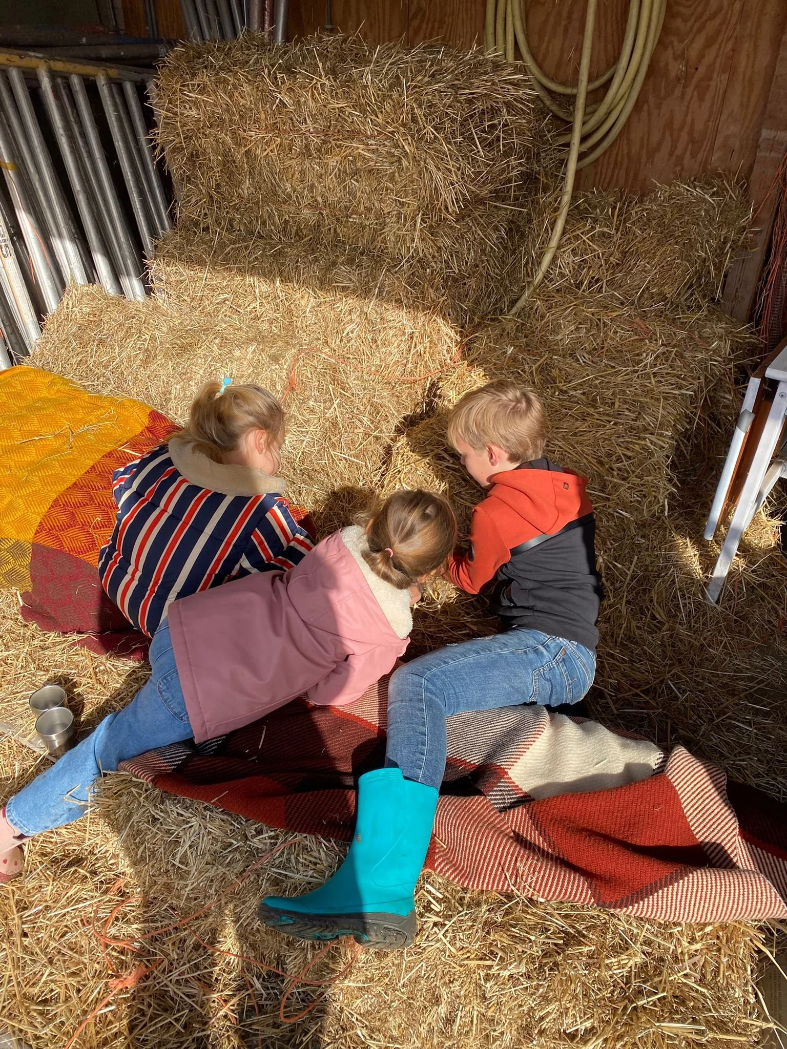 WhatsApp Image 2025-10-07 at 13.21.11.jpeg