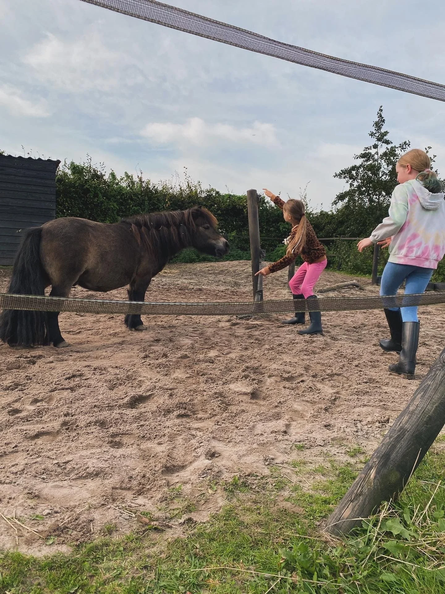 WhatsApp Image 2025-09-25 at 23.51.16.jpeg