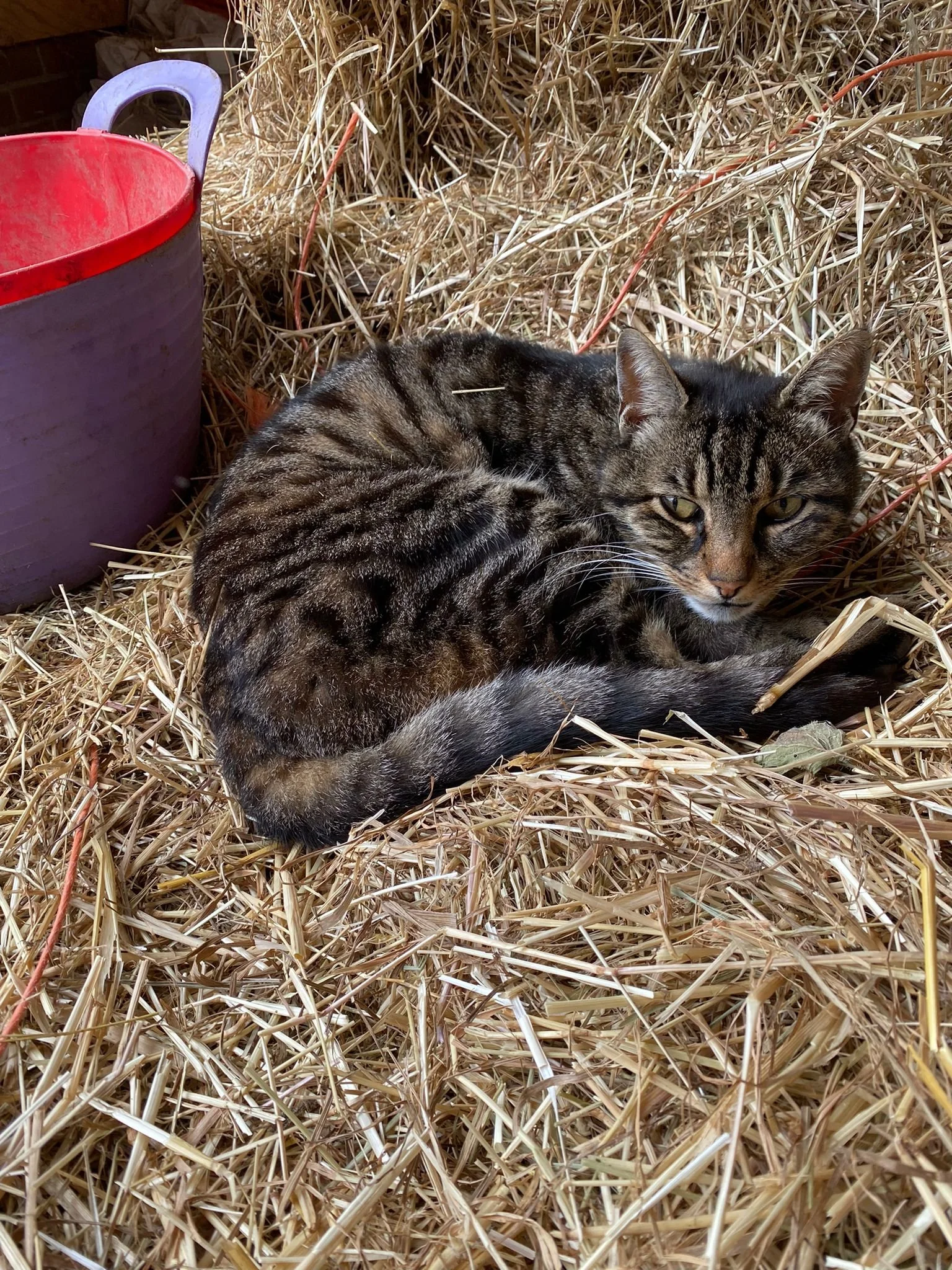 WhatsApp Image 2025-09-25 at 23.51.18-2.jpeg