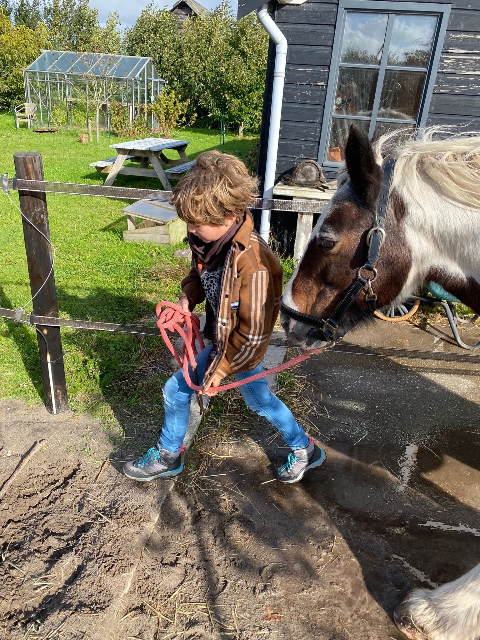 Traject kindercoaching met paarden