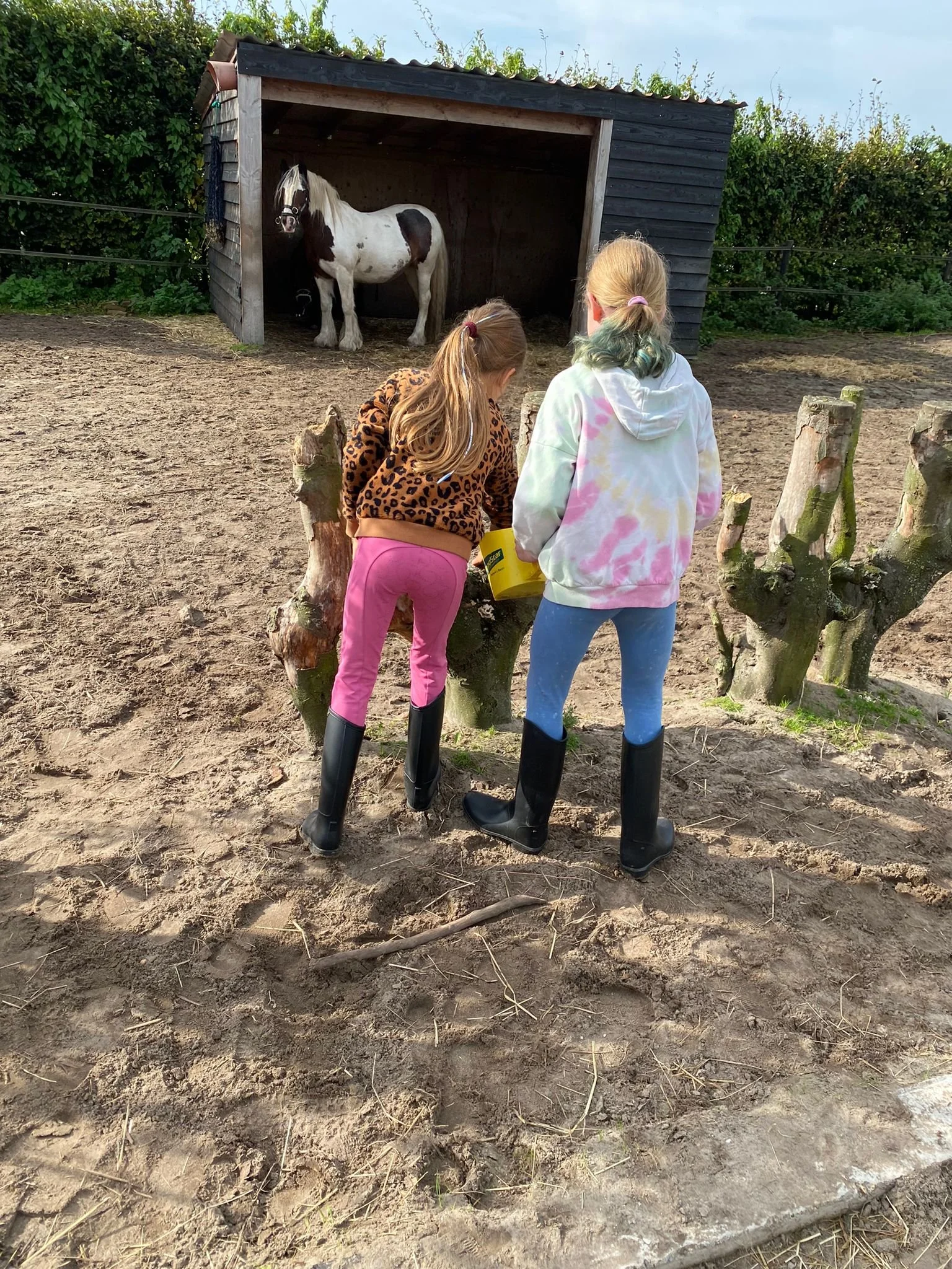 WhatsApp Image 2025-09-25 at 23.51.18-3.jpeg