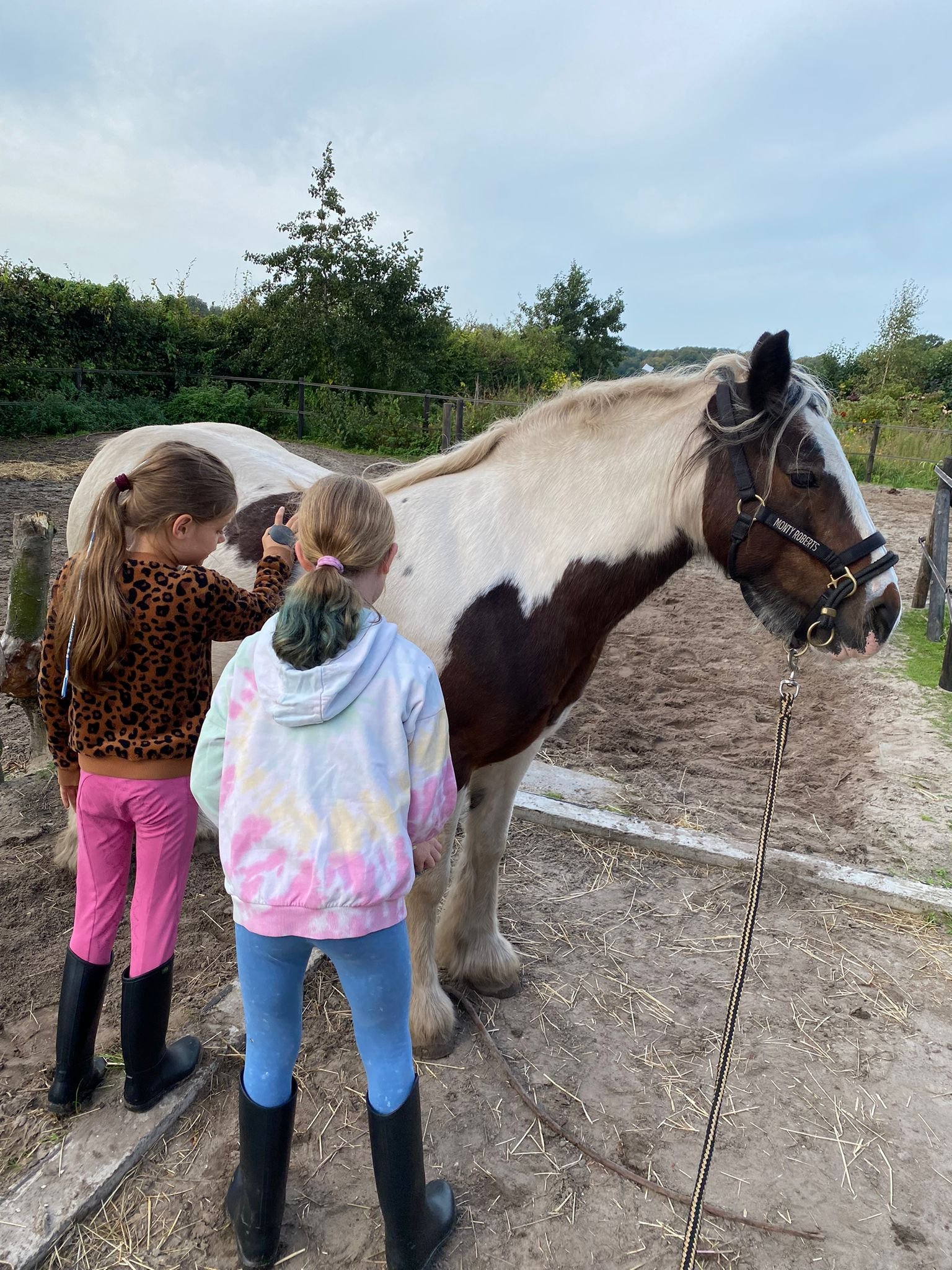 WhatsApp Image 2025-09-25 at 23.51.18-4.jpeg