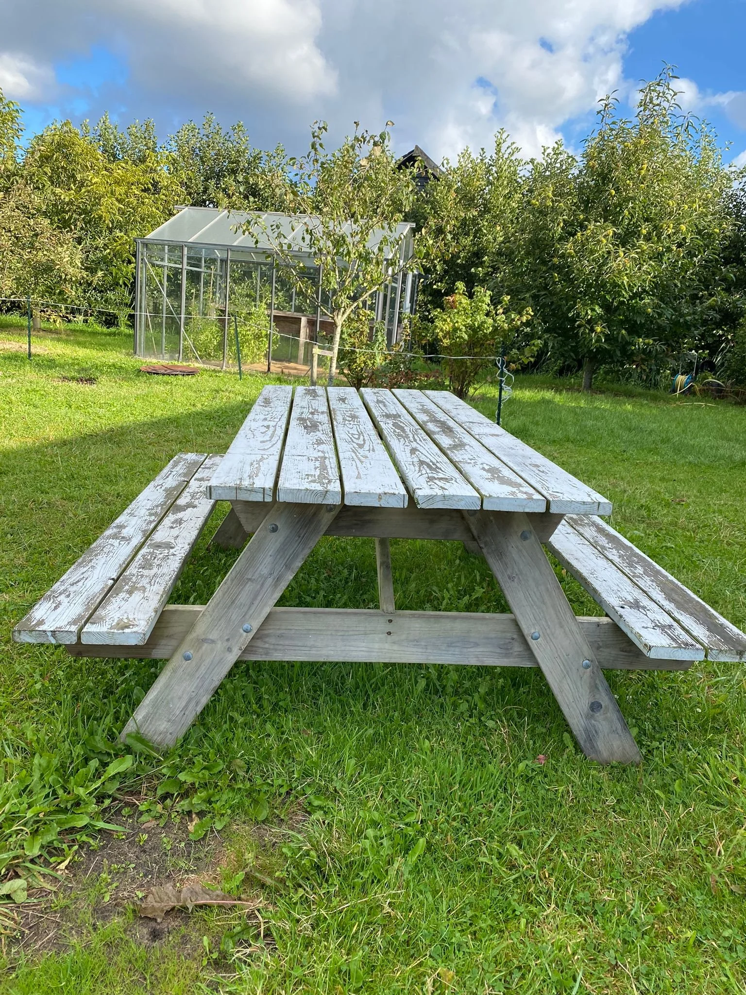 WhatsApp Image 2025-09-25 at 23.51.17.jpeg