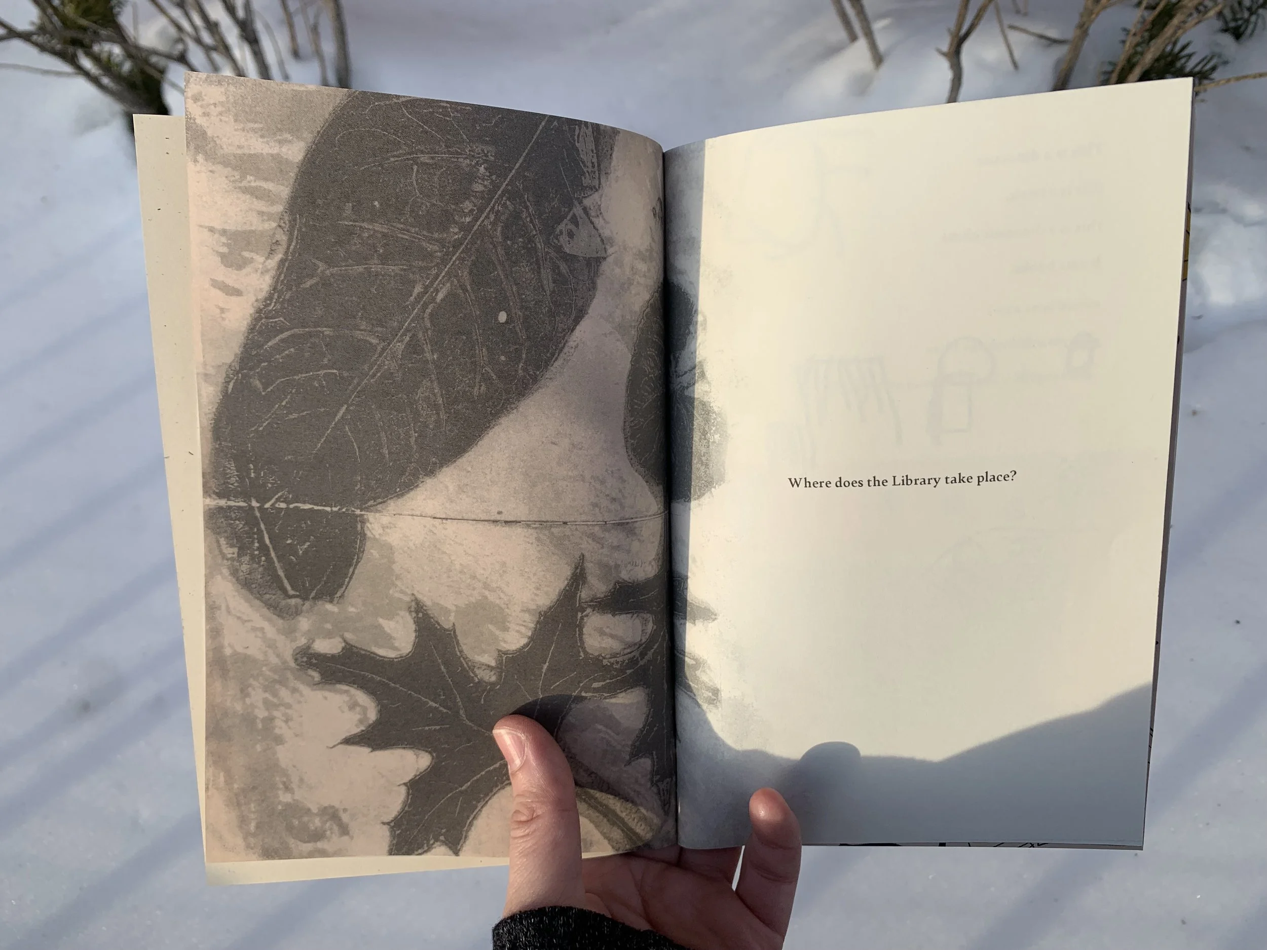 Forest Library-Take Place.jpg