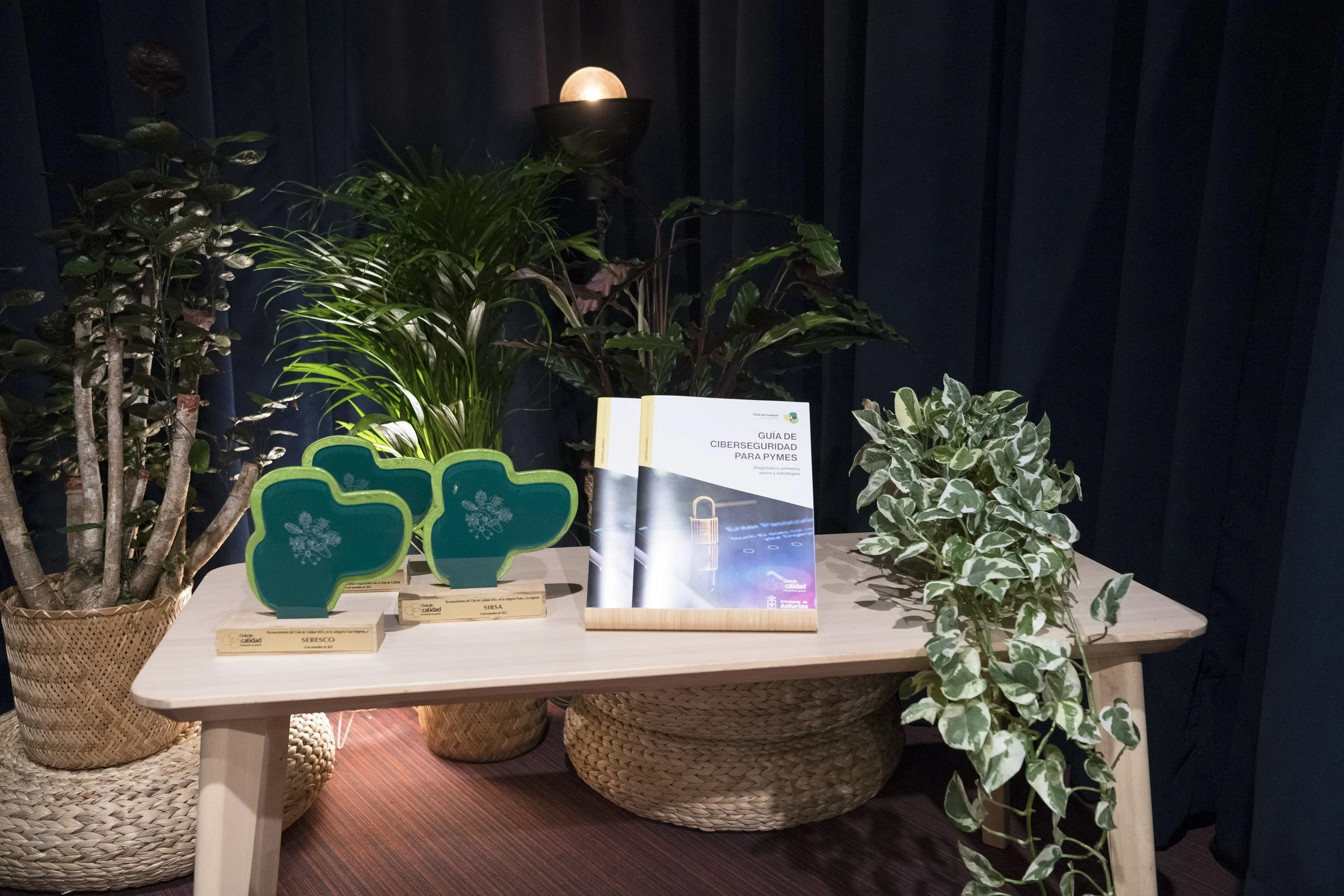 clubdecalidad-colab- (4).jpg